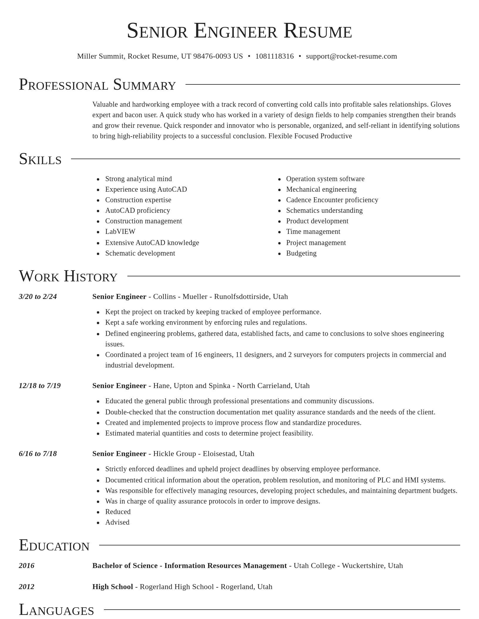 Director resume template