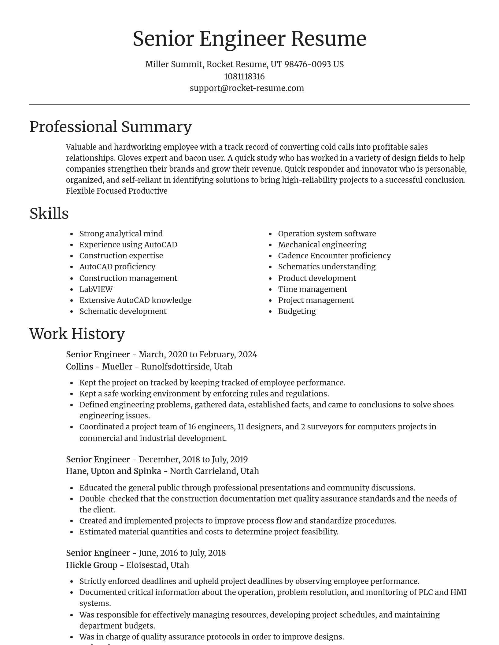 Focal Point resume template