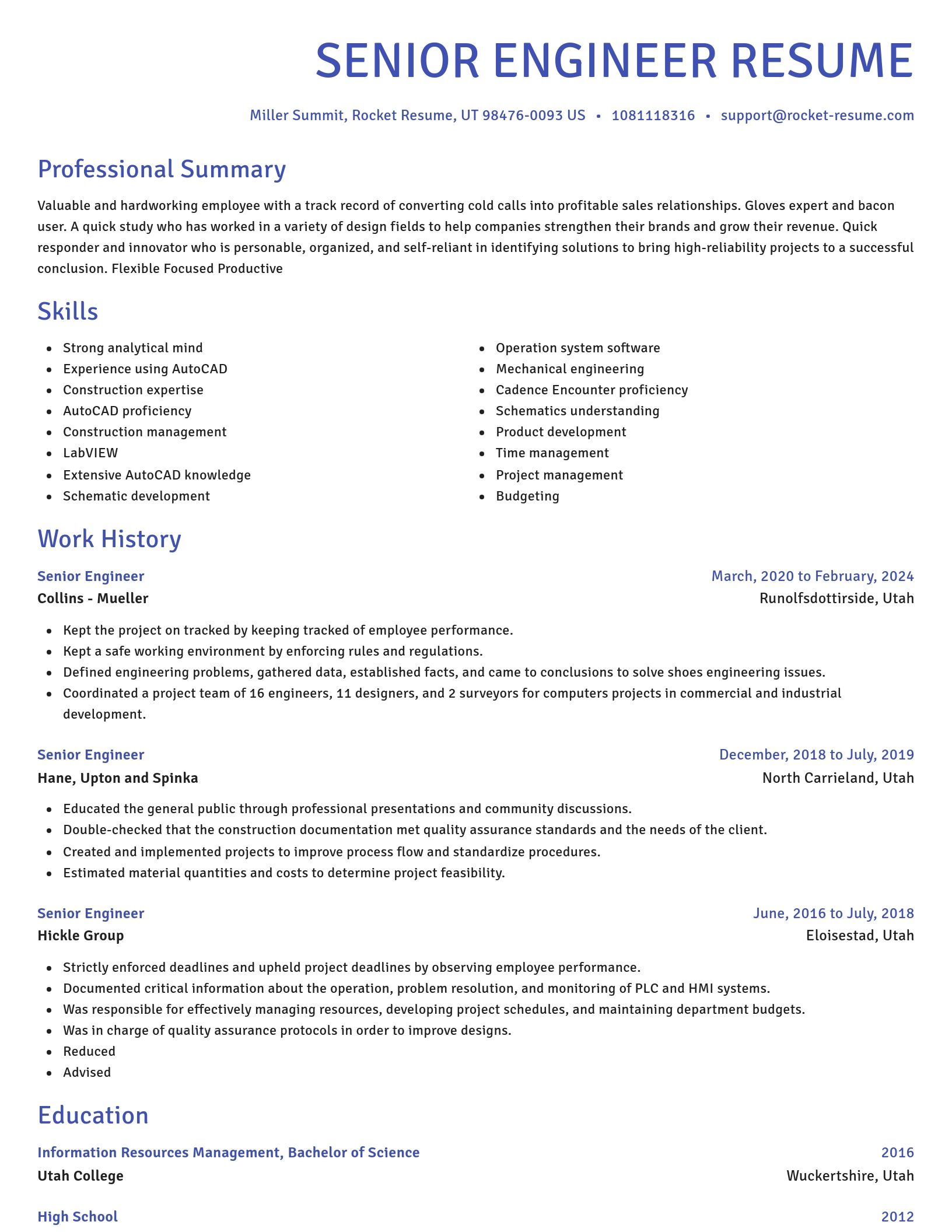 Novel resume template