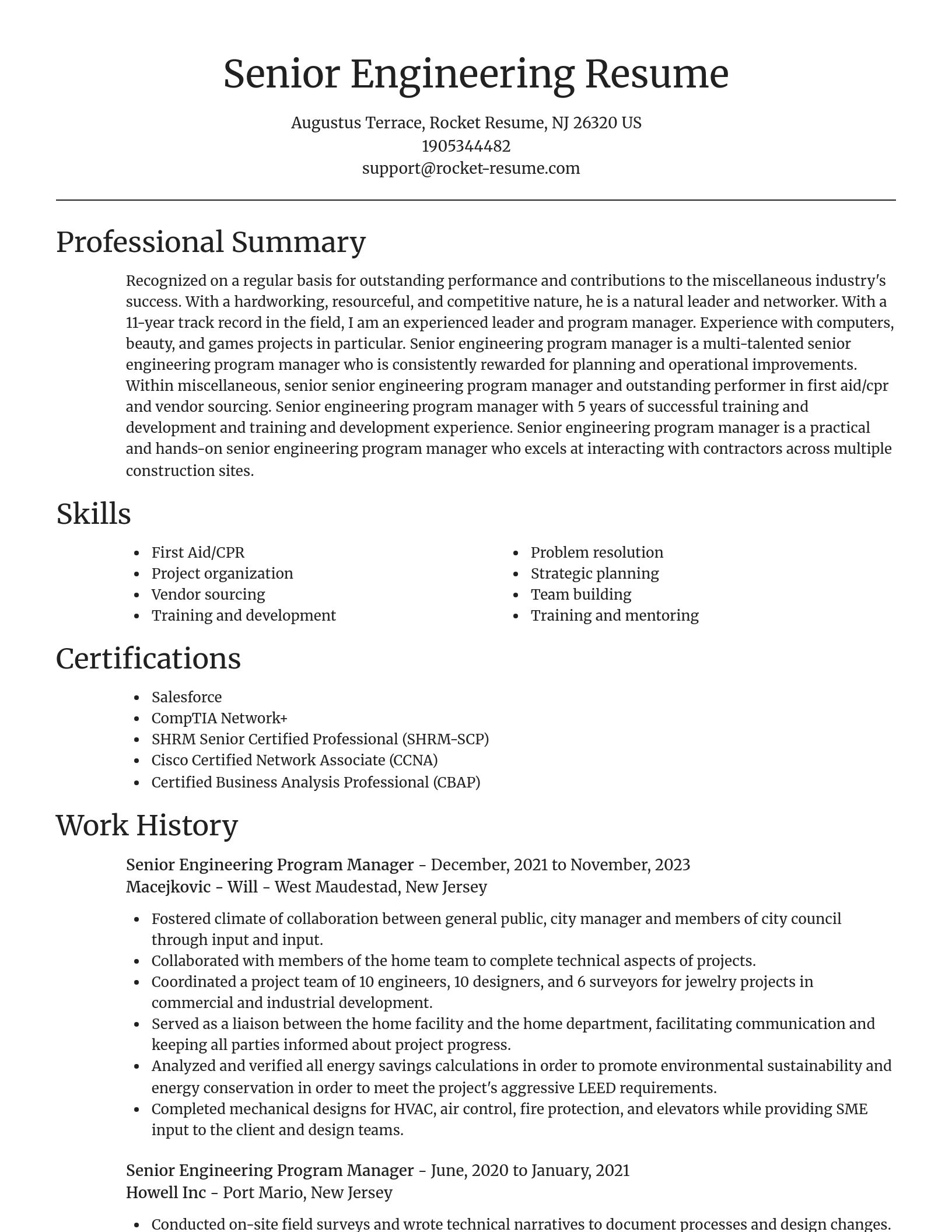 Focal Point resume template
