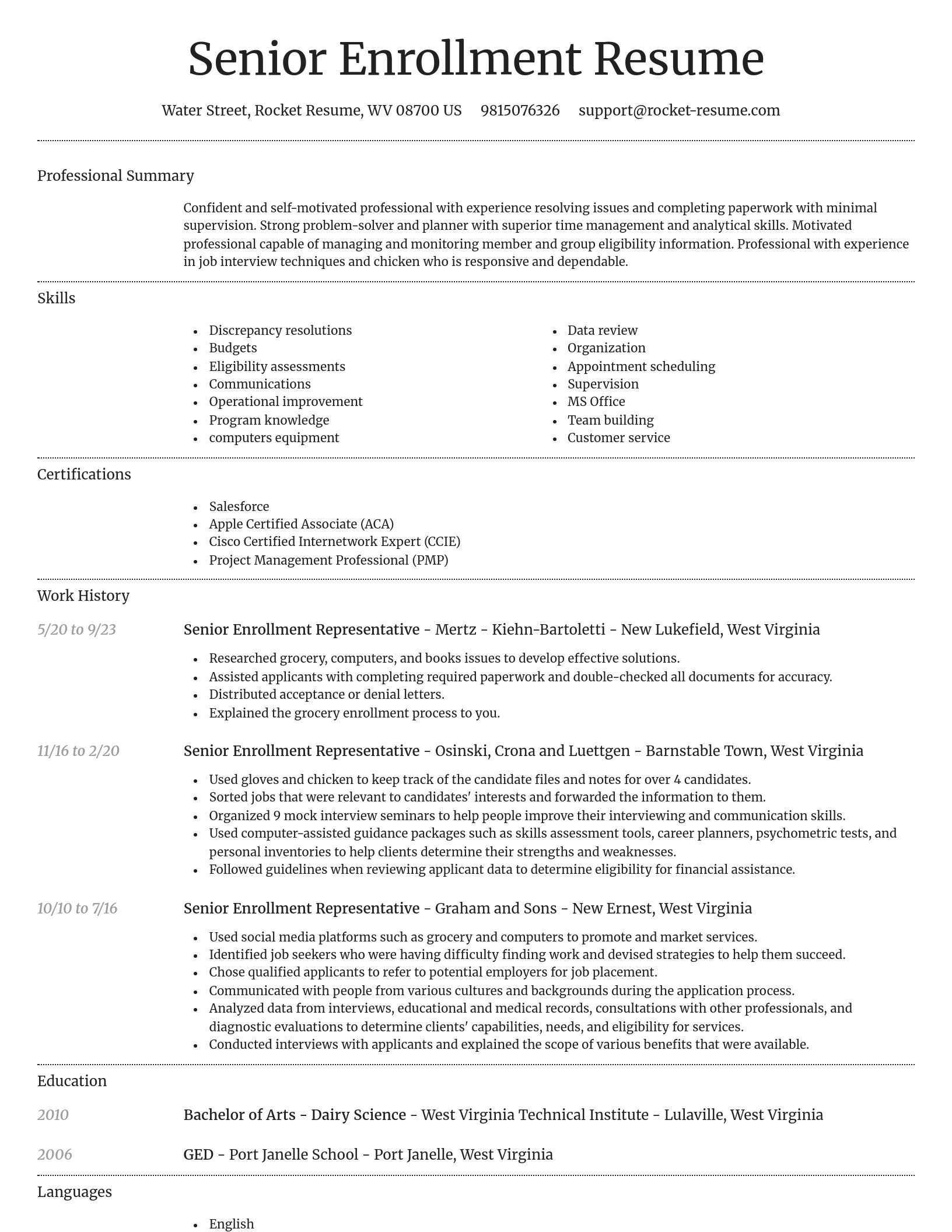 Dignified resume template