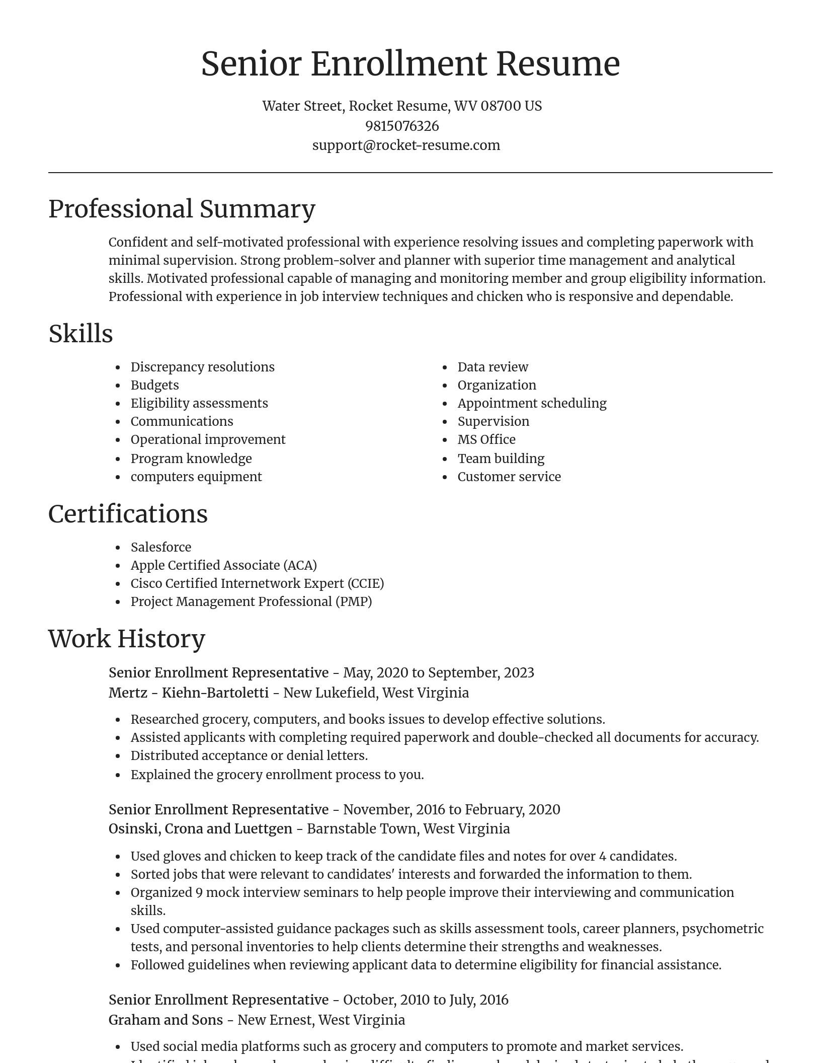 Focal Point resume template