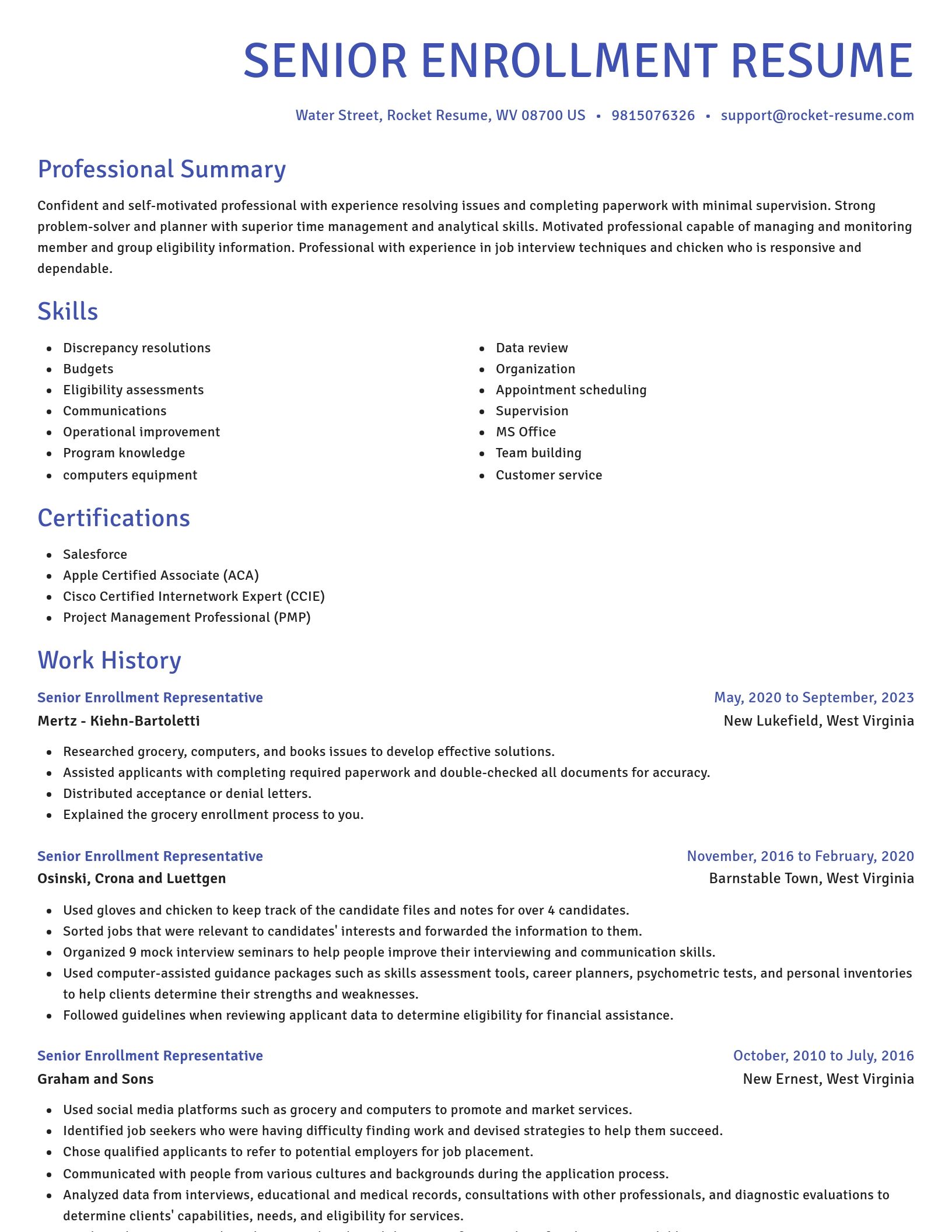 Novel resume template