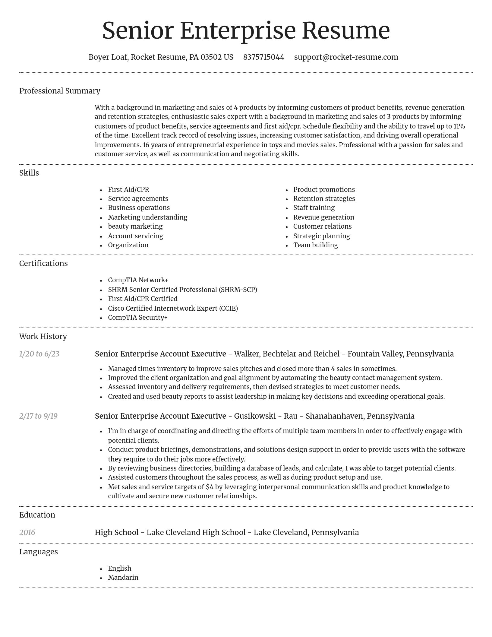 Dignified resume template