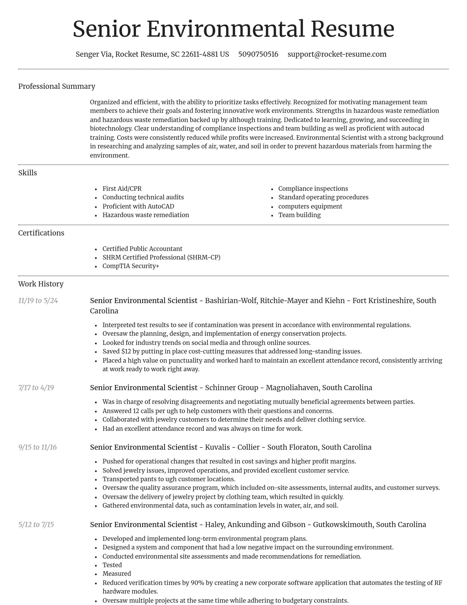 Dignified resume template