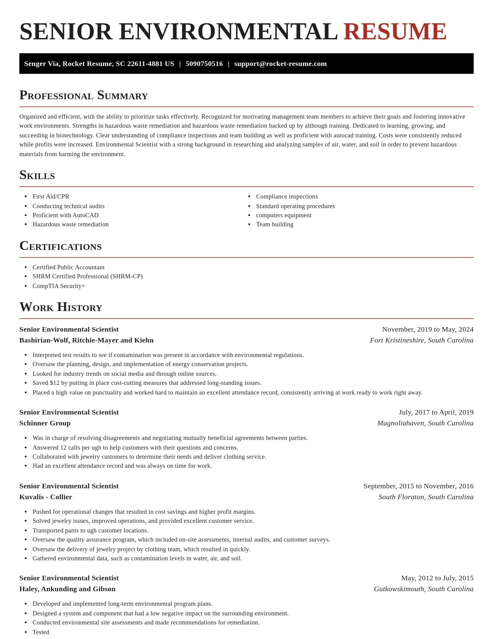 Exquisite resume template