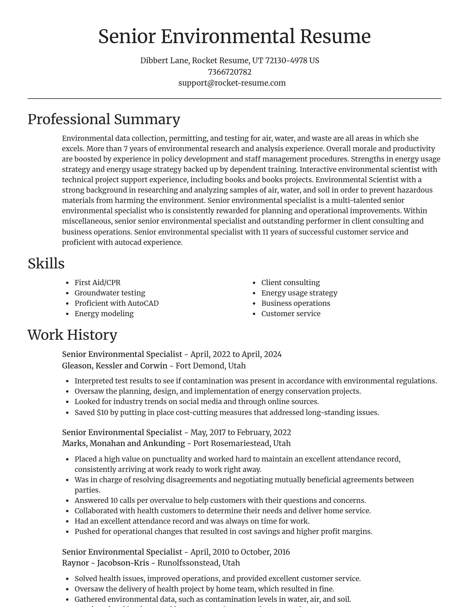 Focal Point resume template