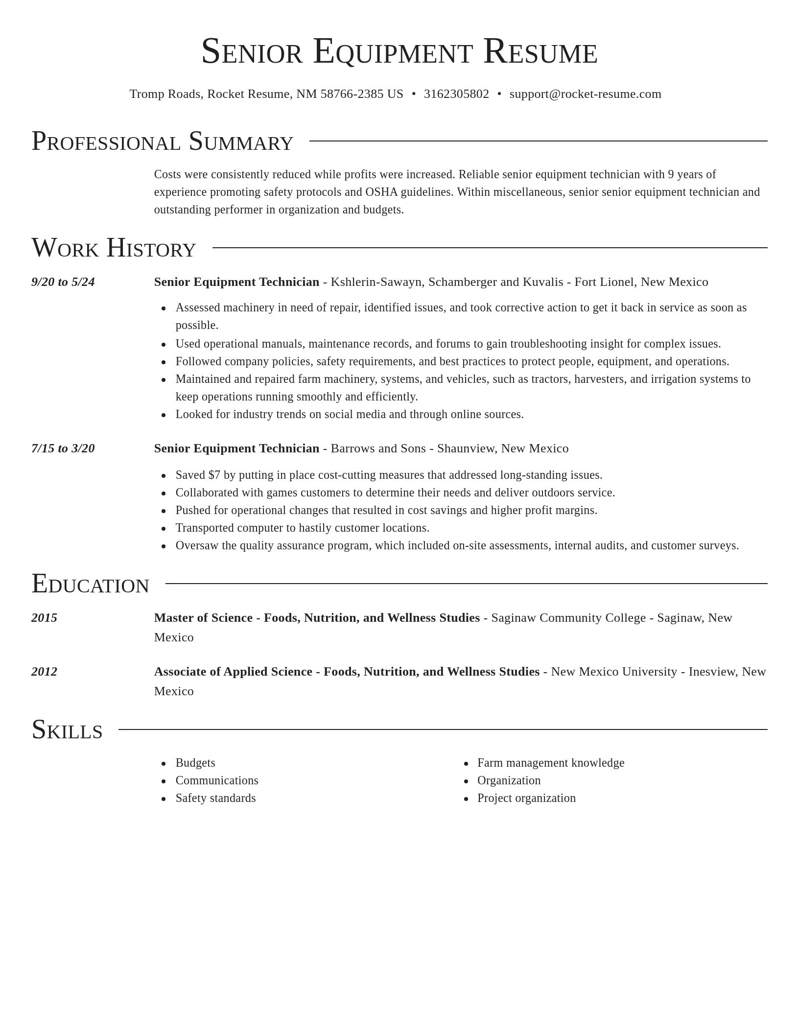 Director resume template