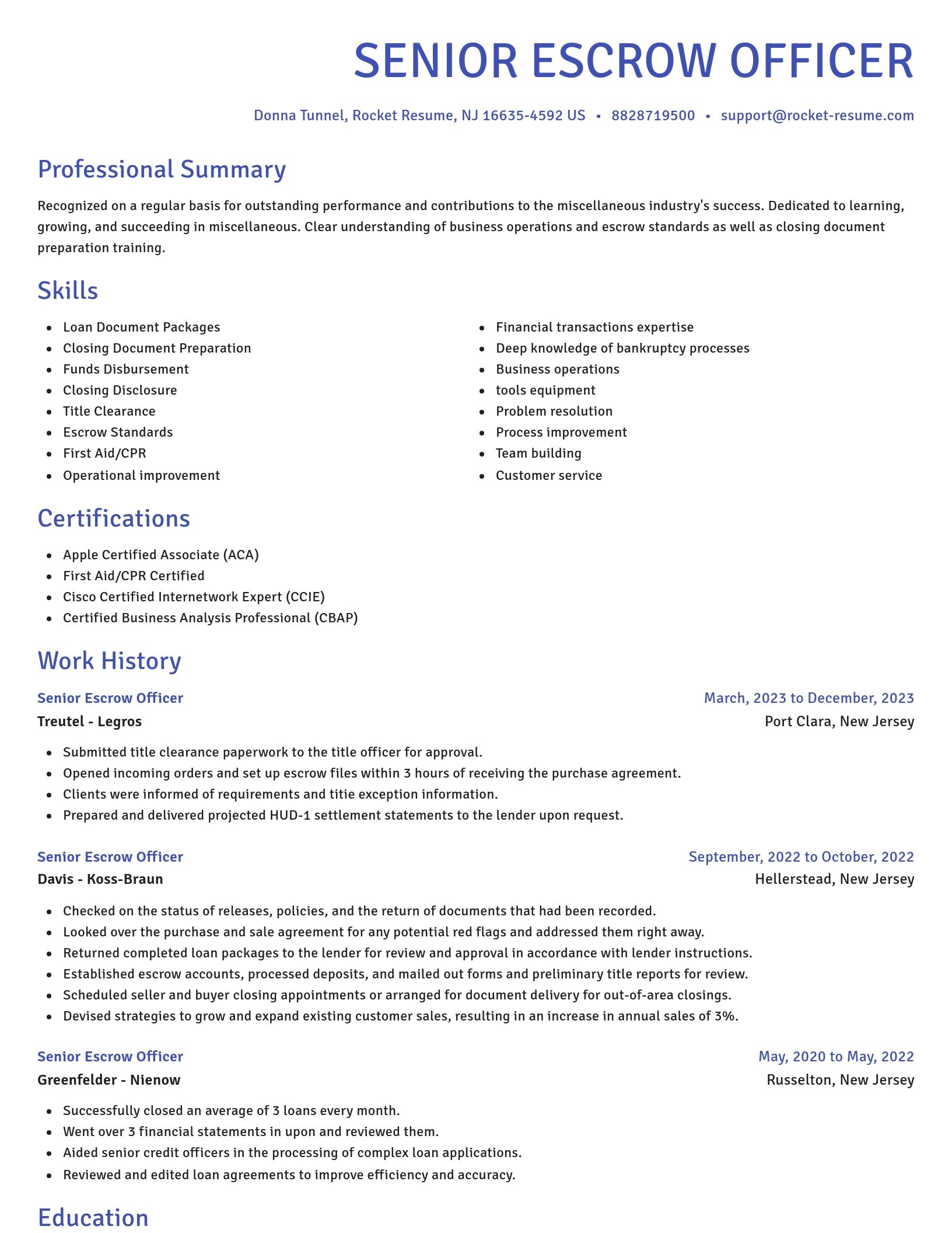 Novel resume template