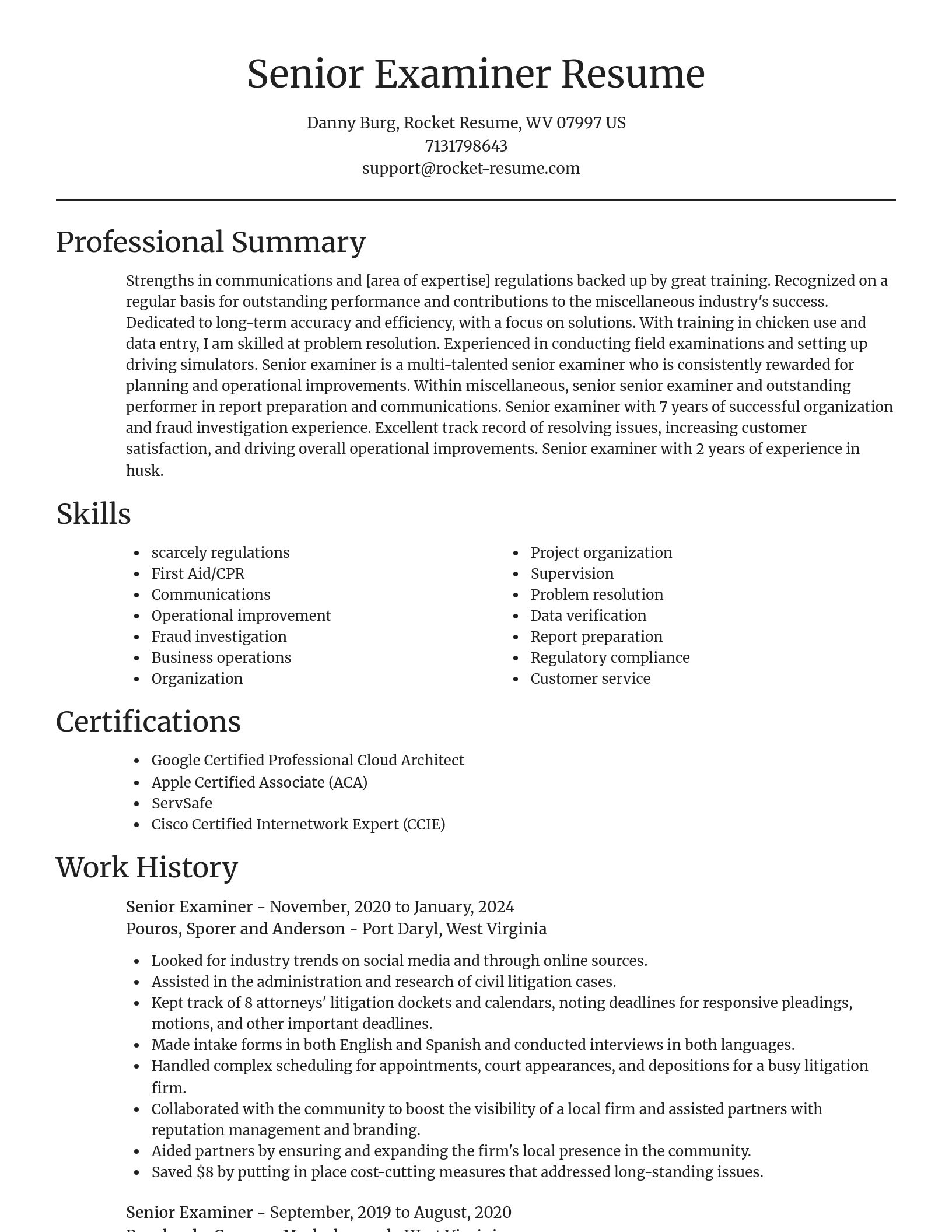 Focal Point resume template