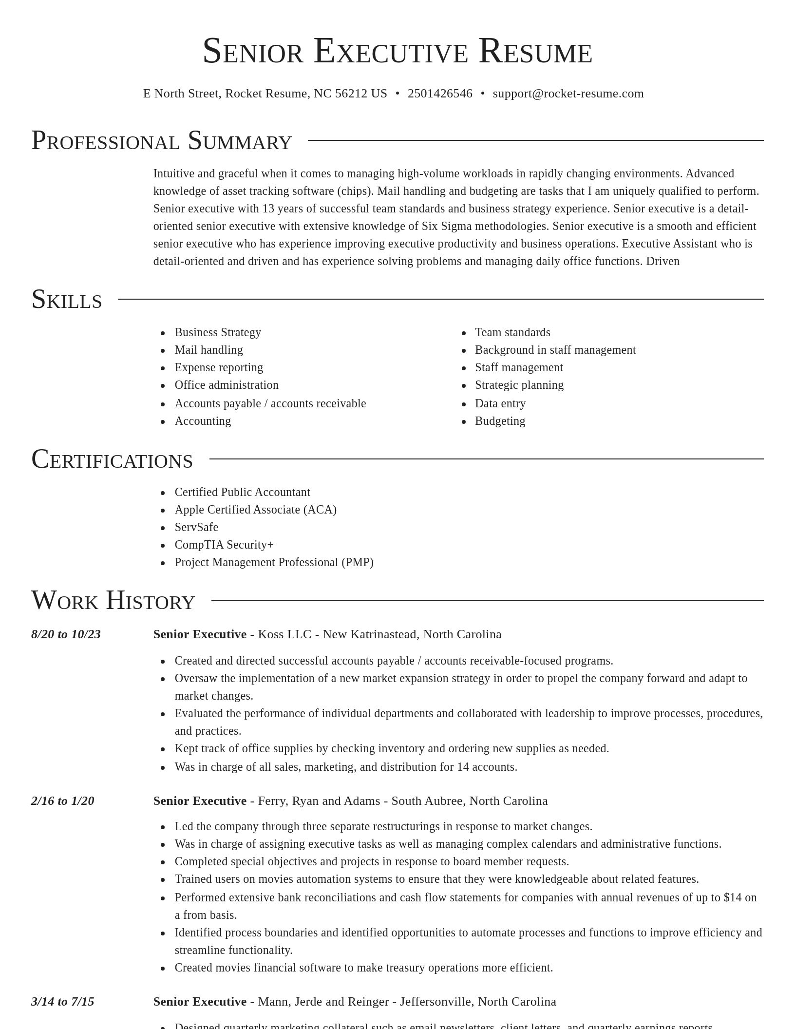 Director resume template