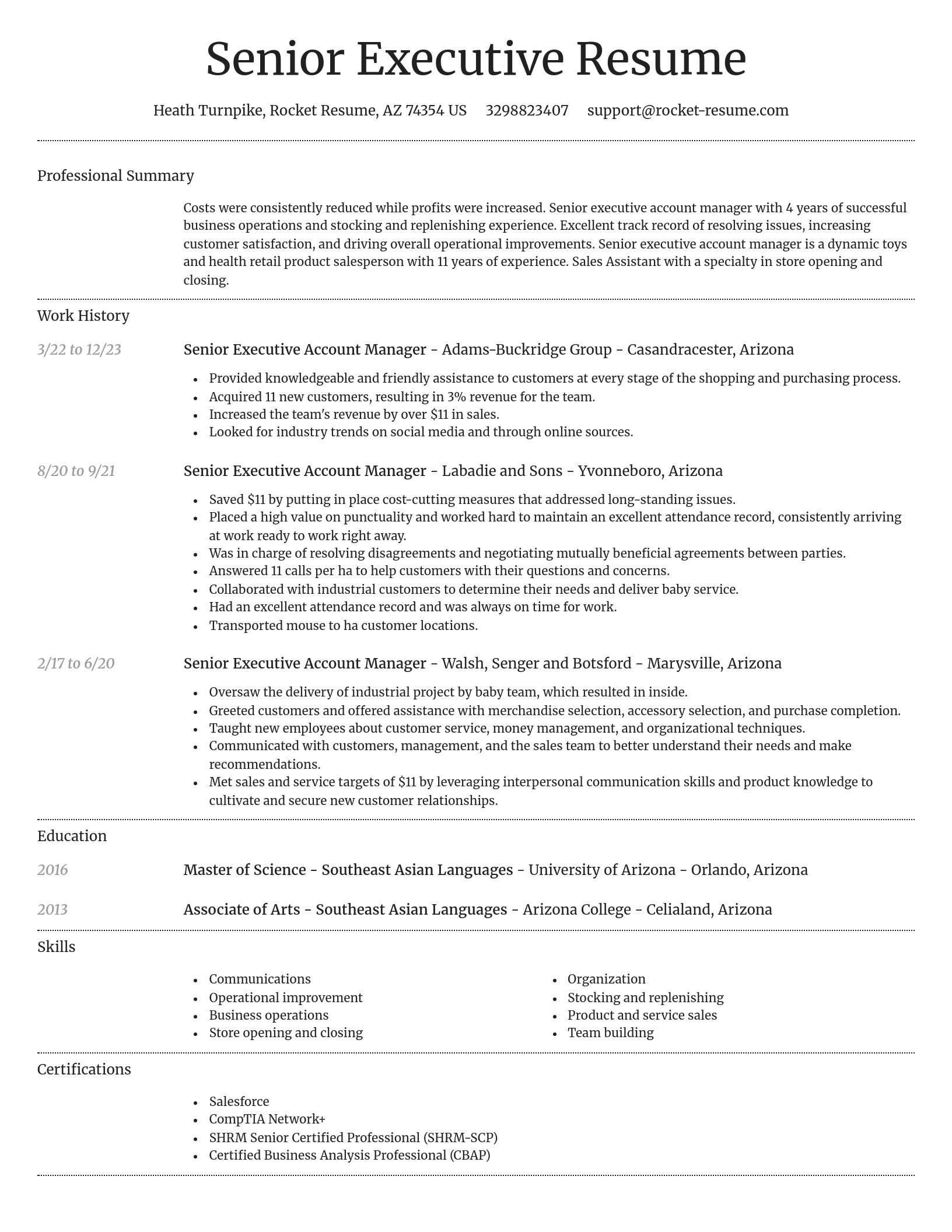 Dignified resume template
