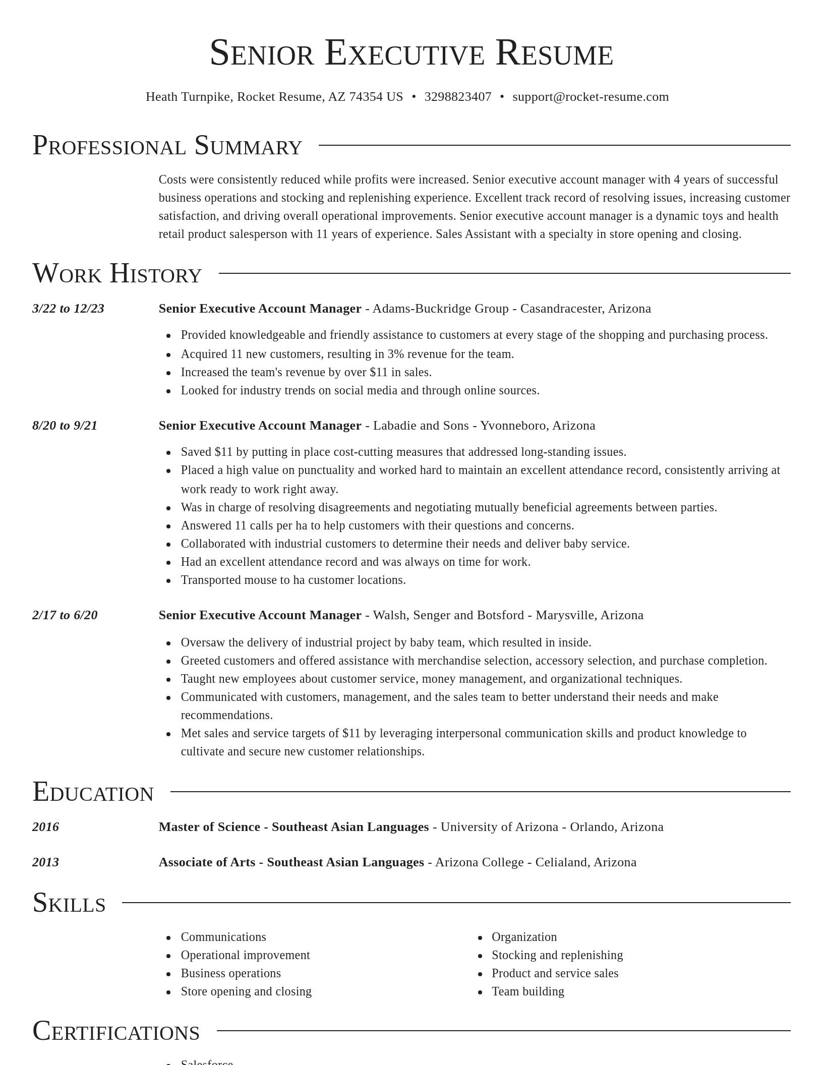 Director resume template