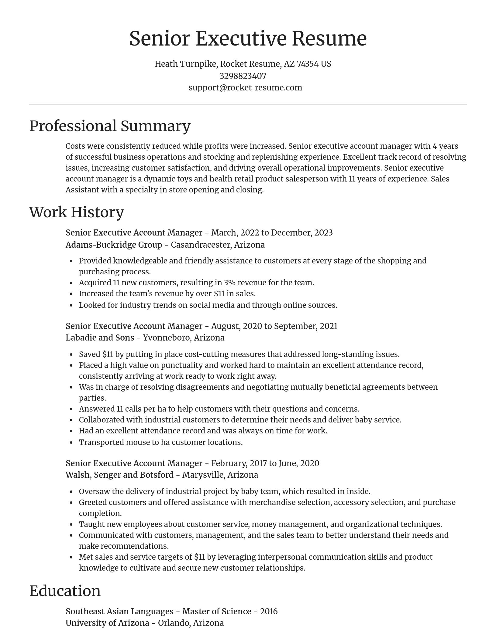 Focal Point resume template