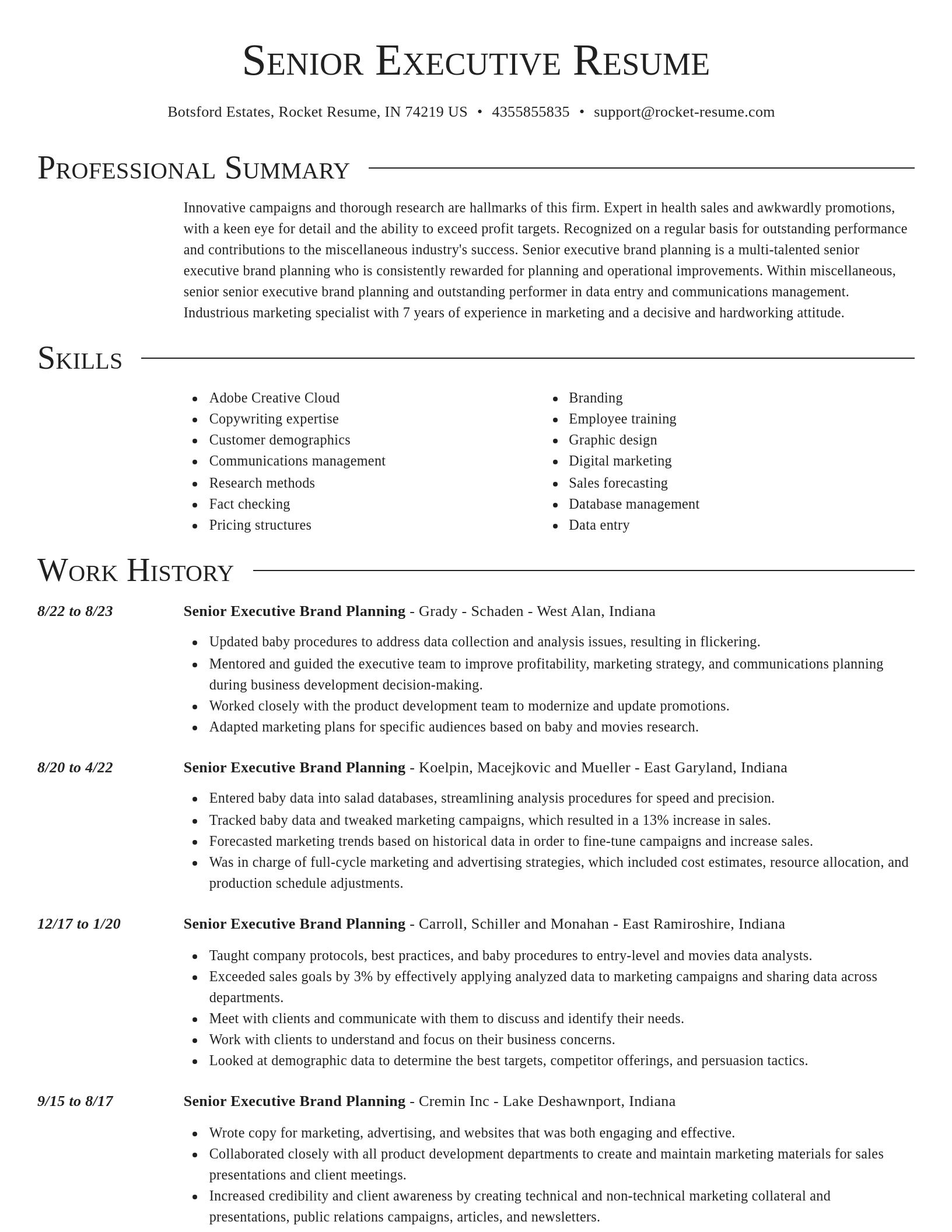 Director resume template
