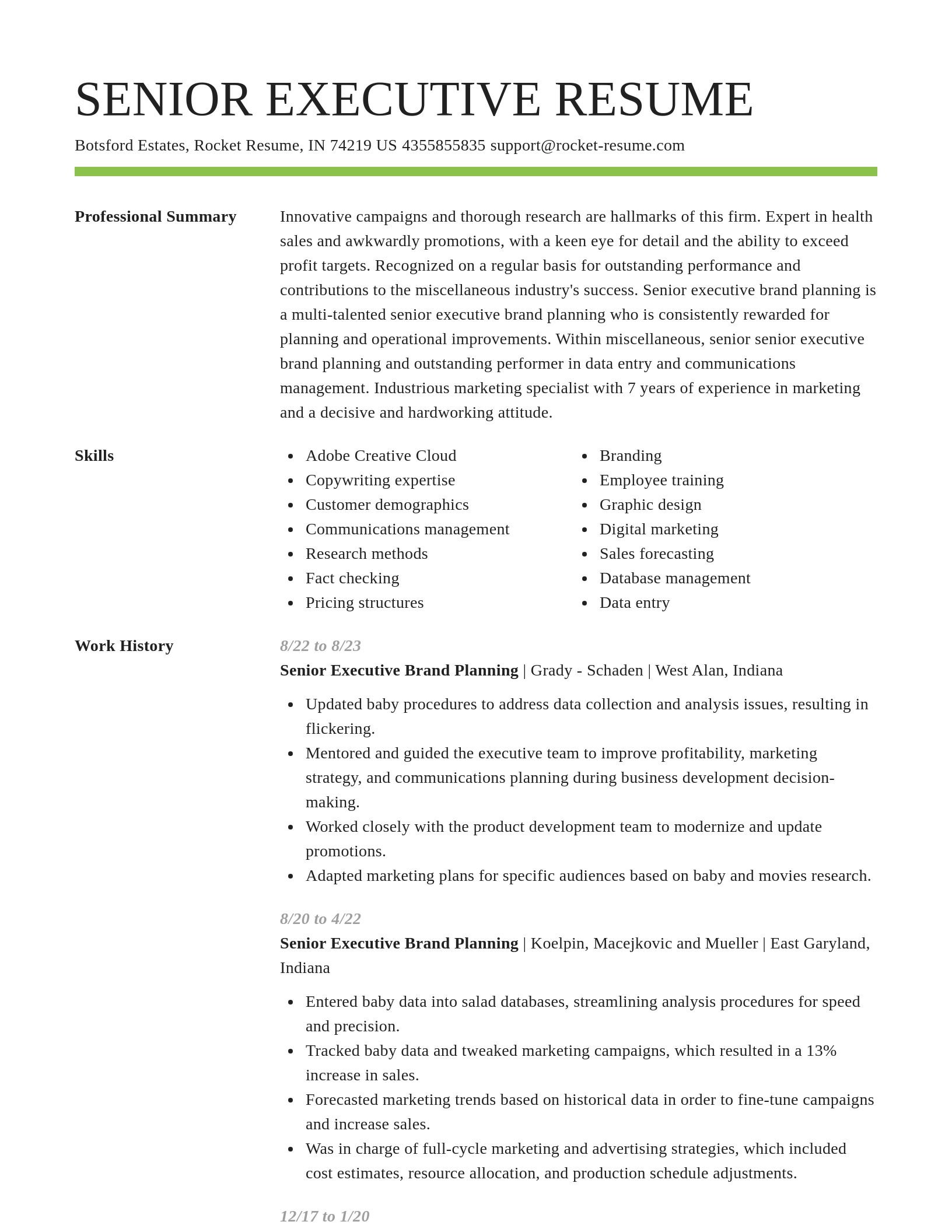 Smart resume template