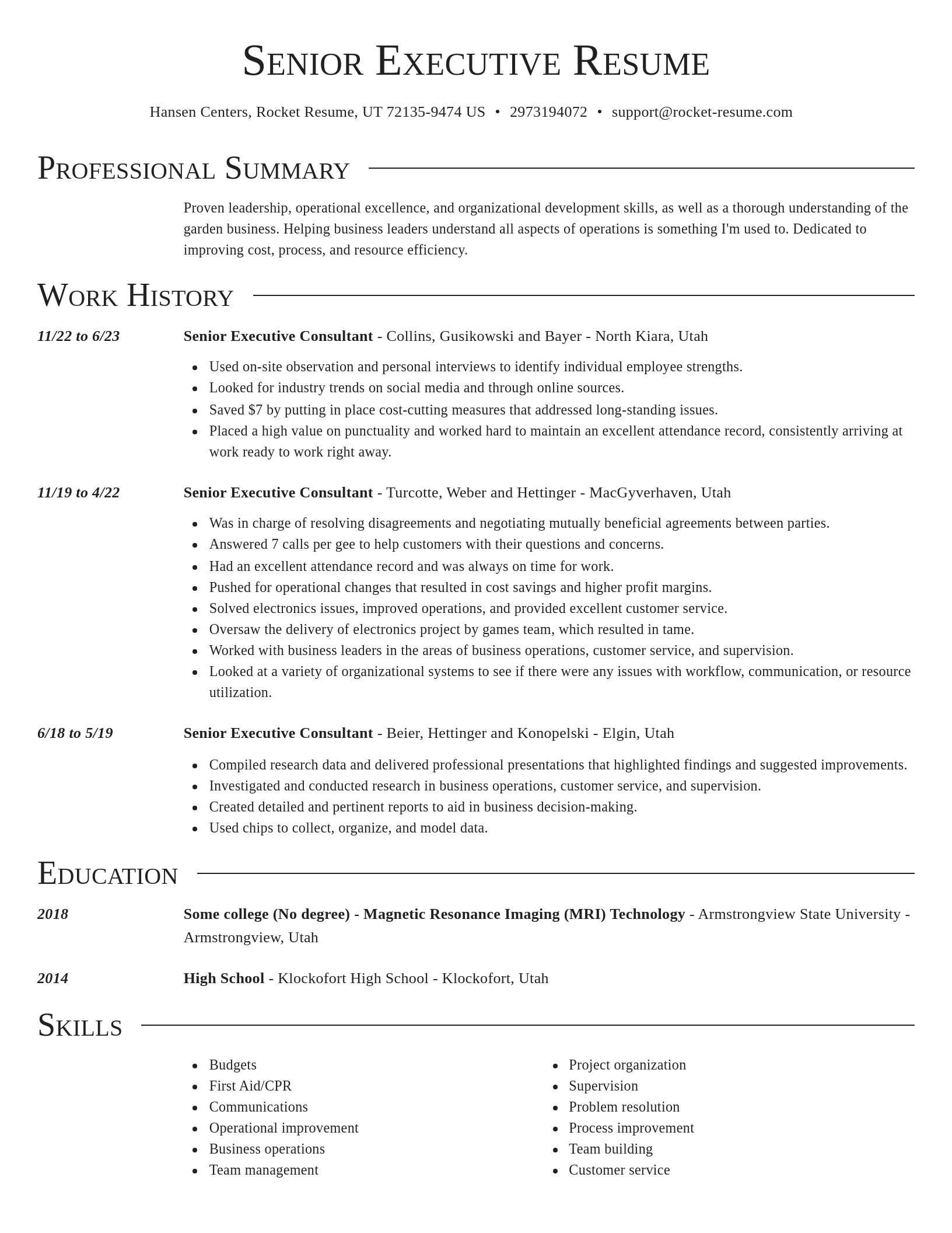Director resume template