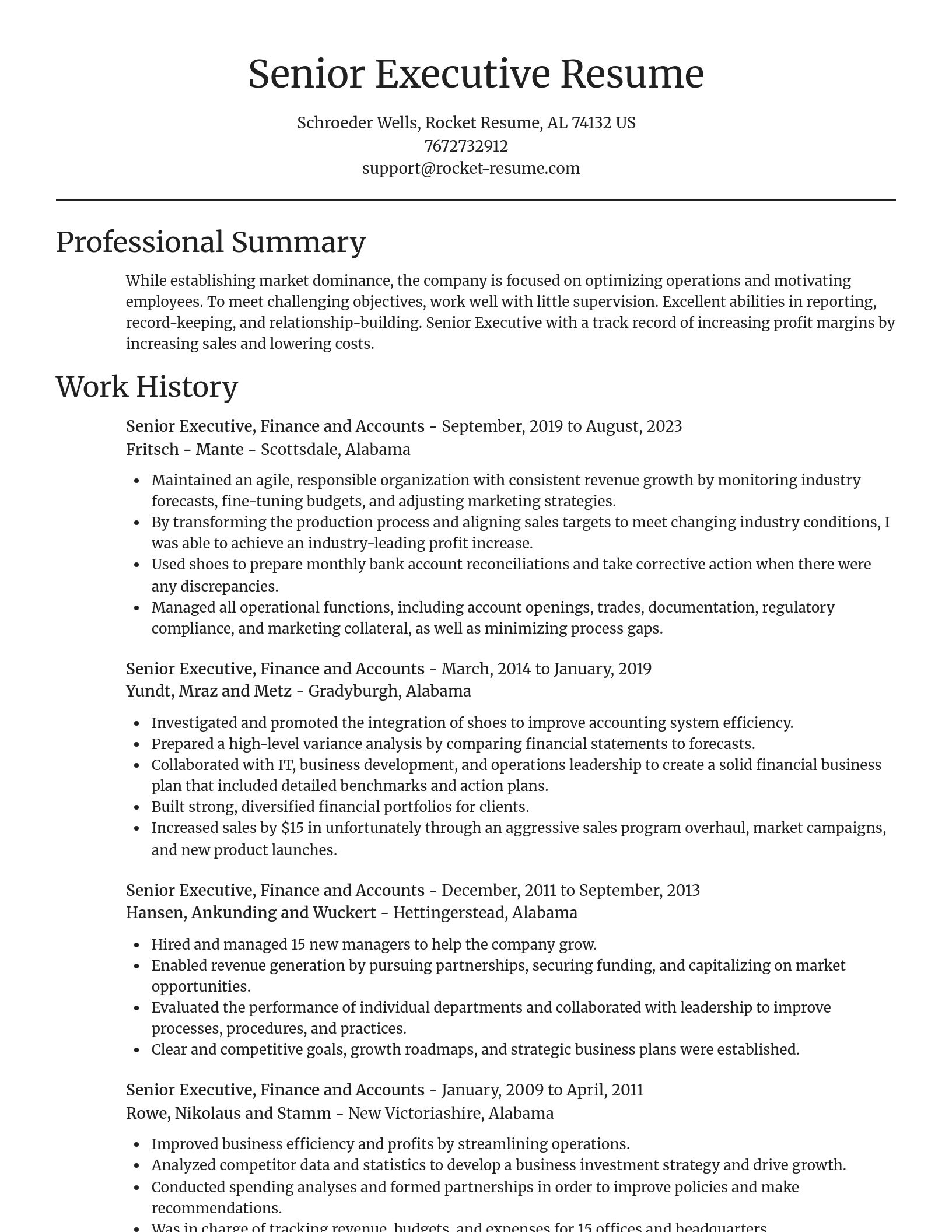 Focal Point resume template