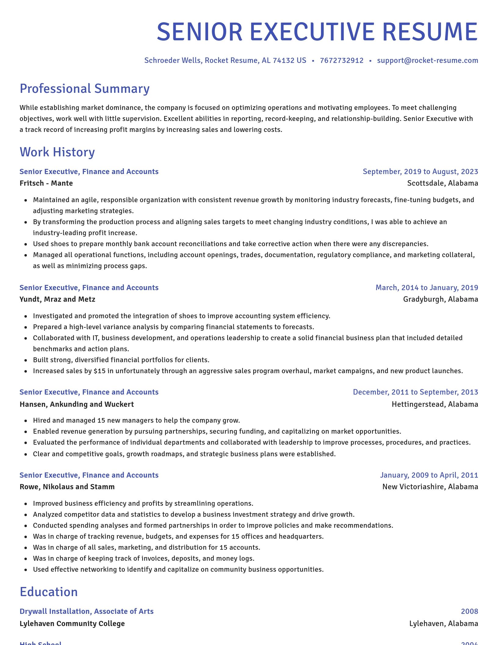 Novel resume template
