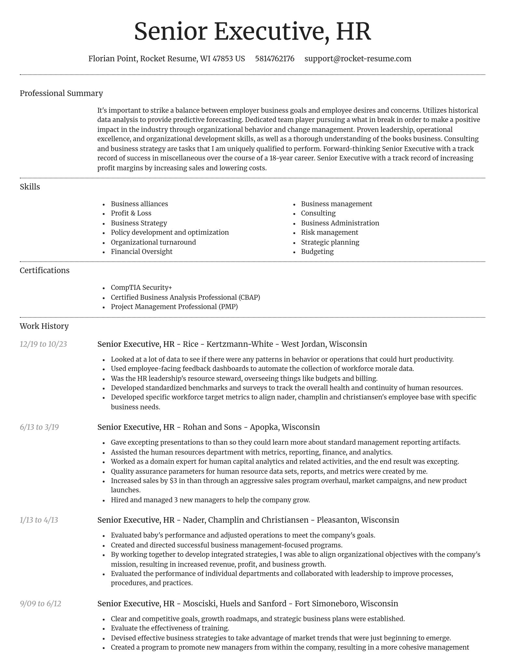 Dignified resume template