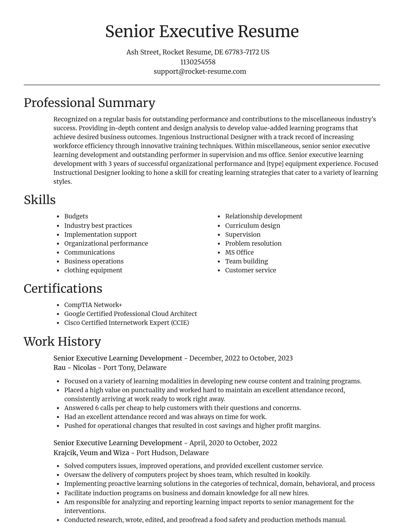 Focal Point resume template