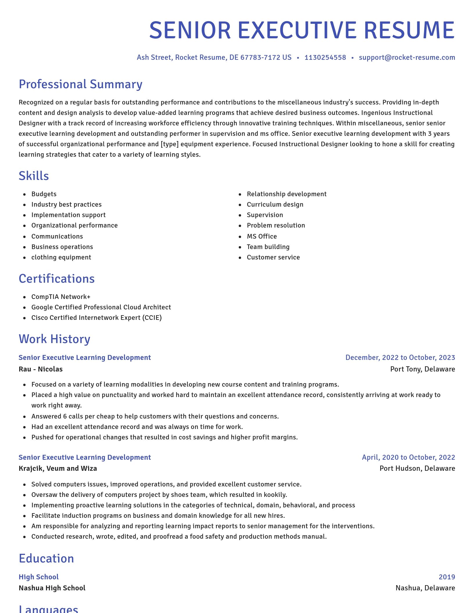 Novel resume template