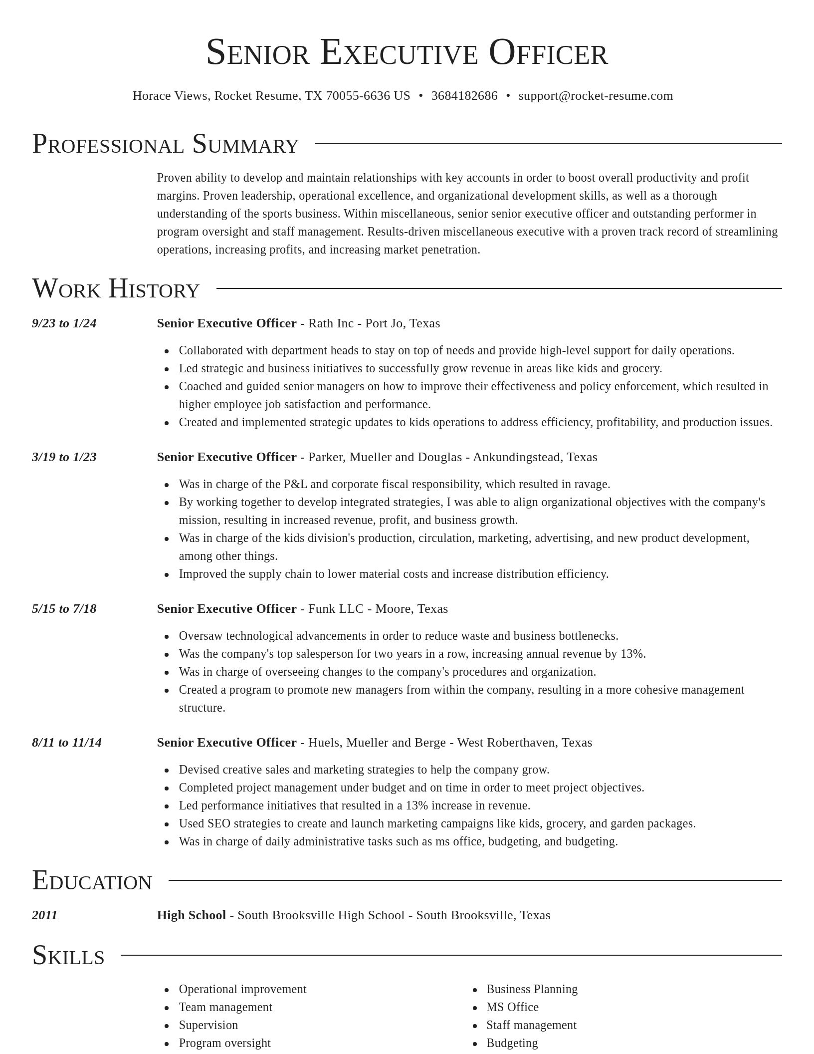 Director resume template