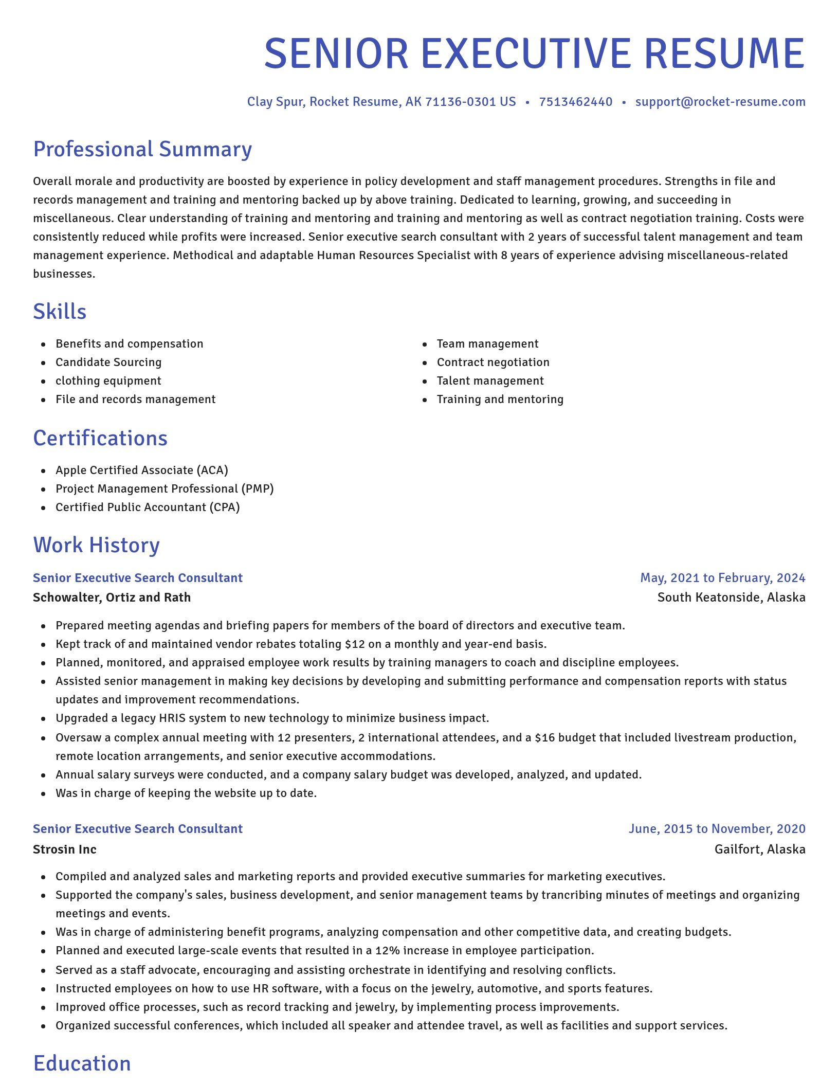 Novel resume template