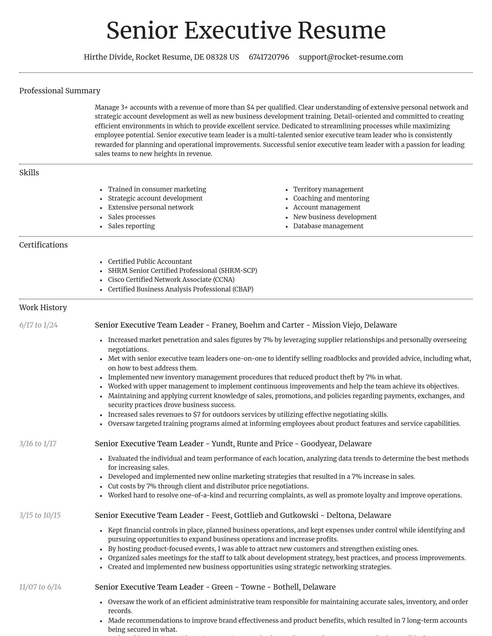 Dignified resume template