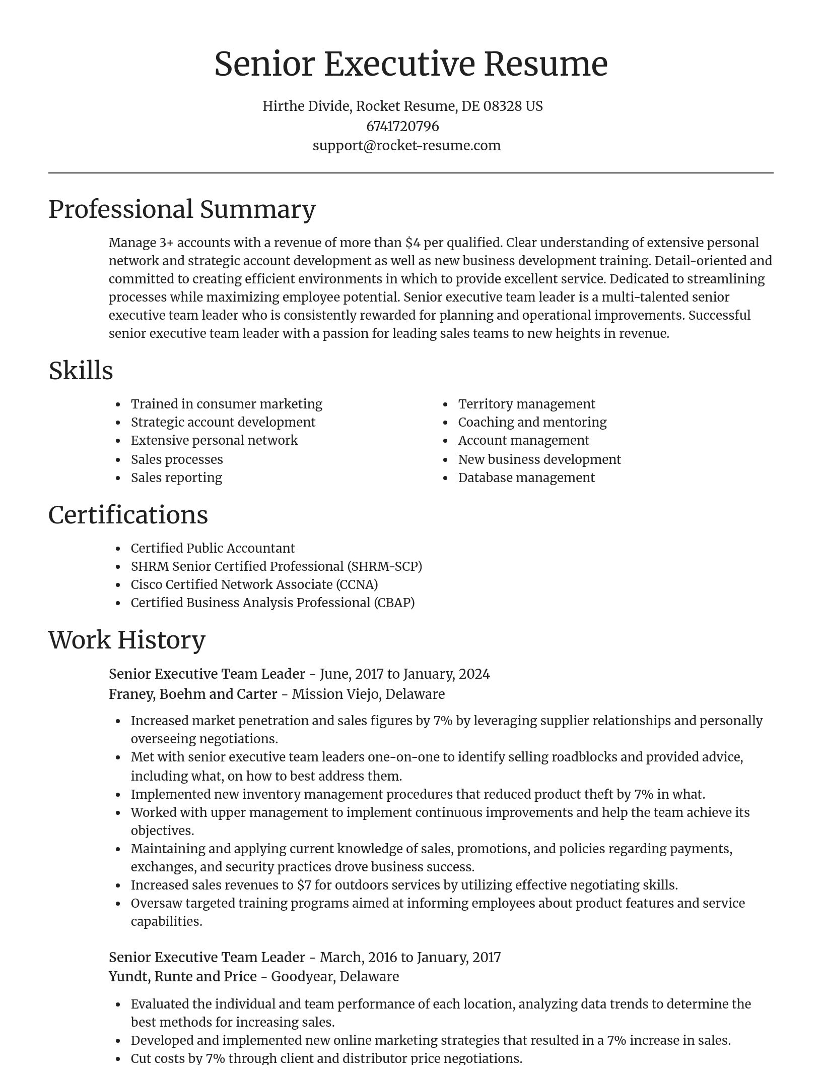 Focal Point resume template