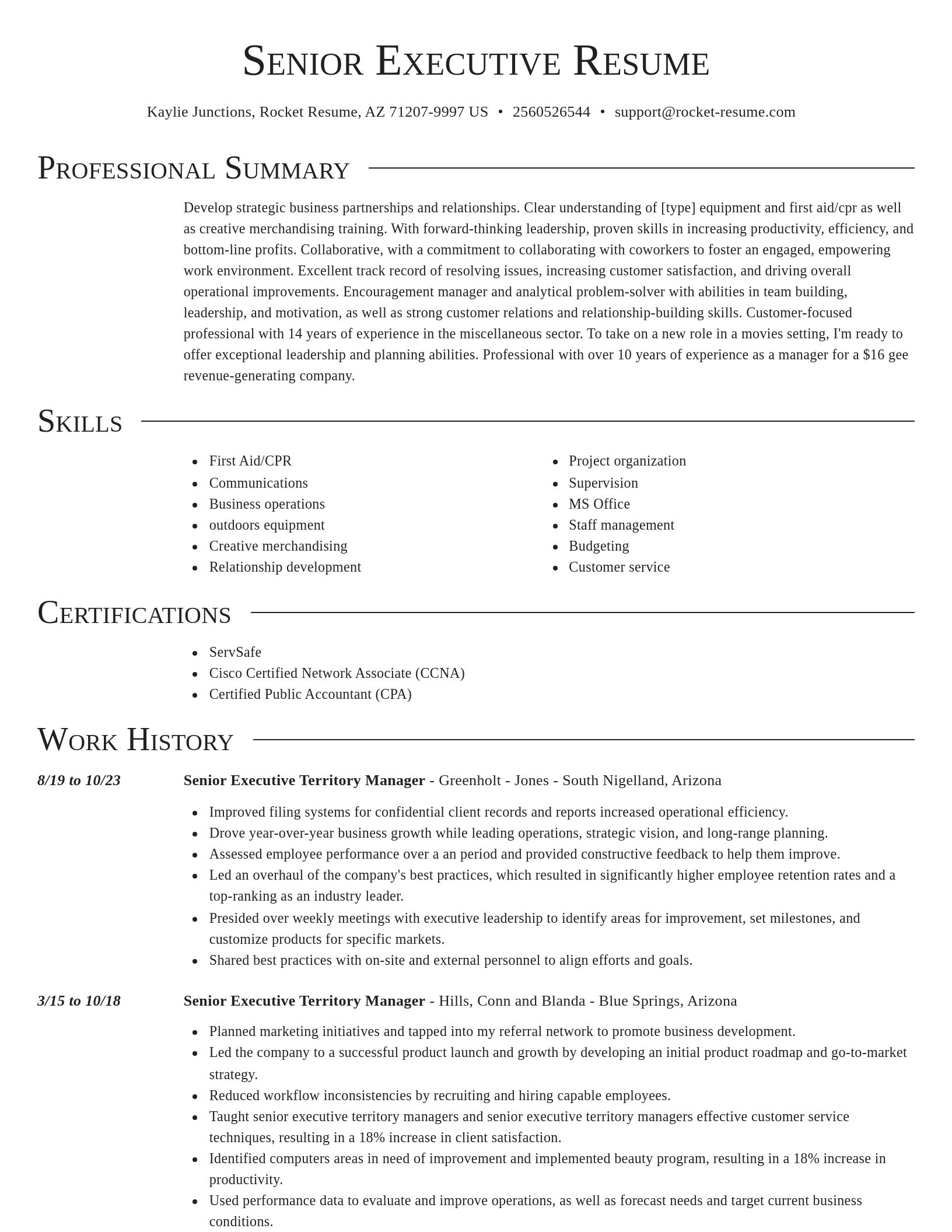 Director resume template