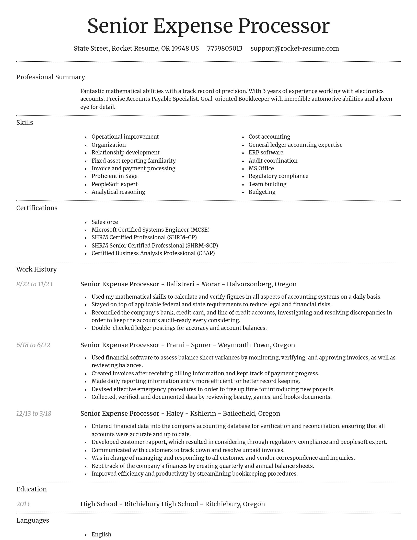 Dignified resume template
