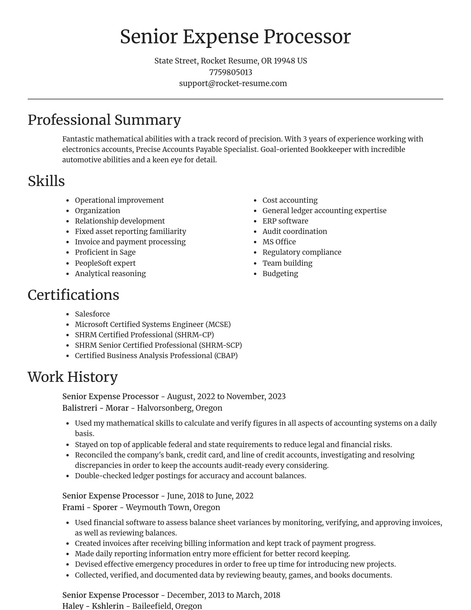 Focal Point resume template