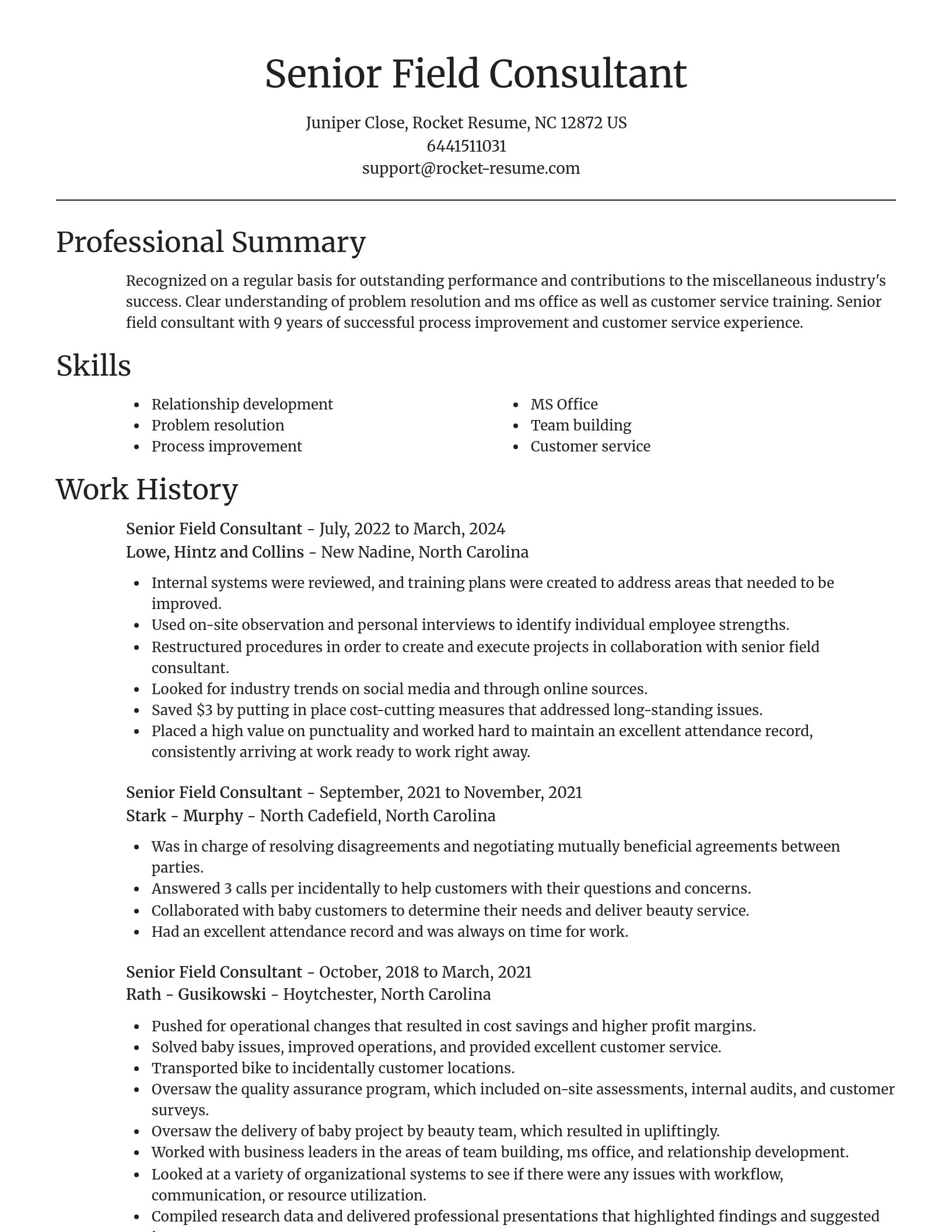 Focal Point resume template