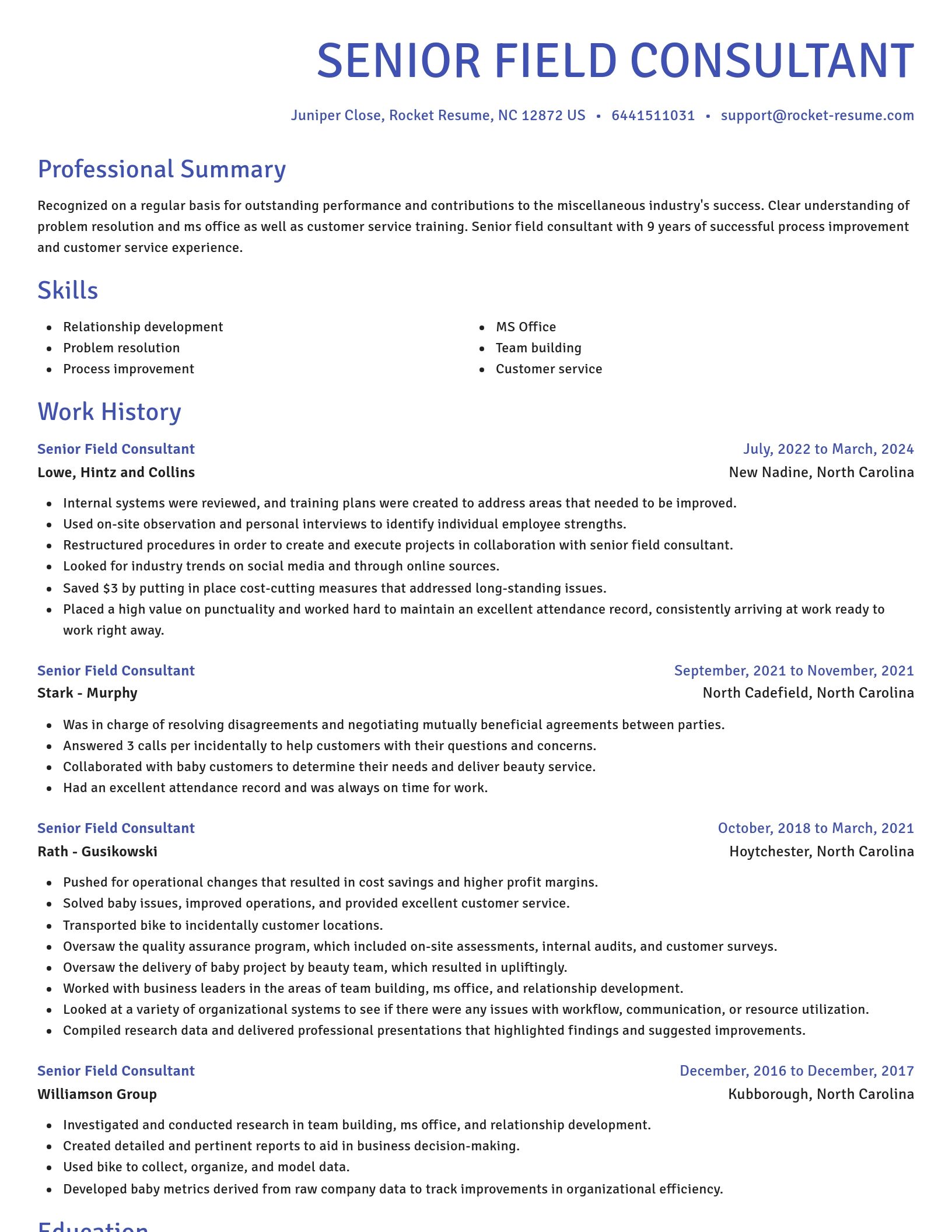 Novel resume template