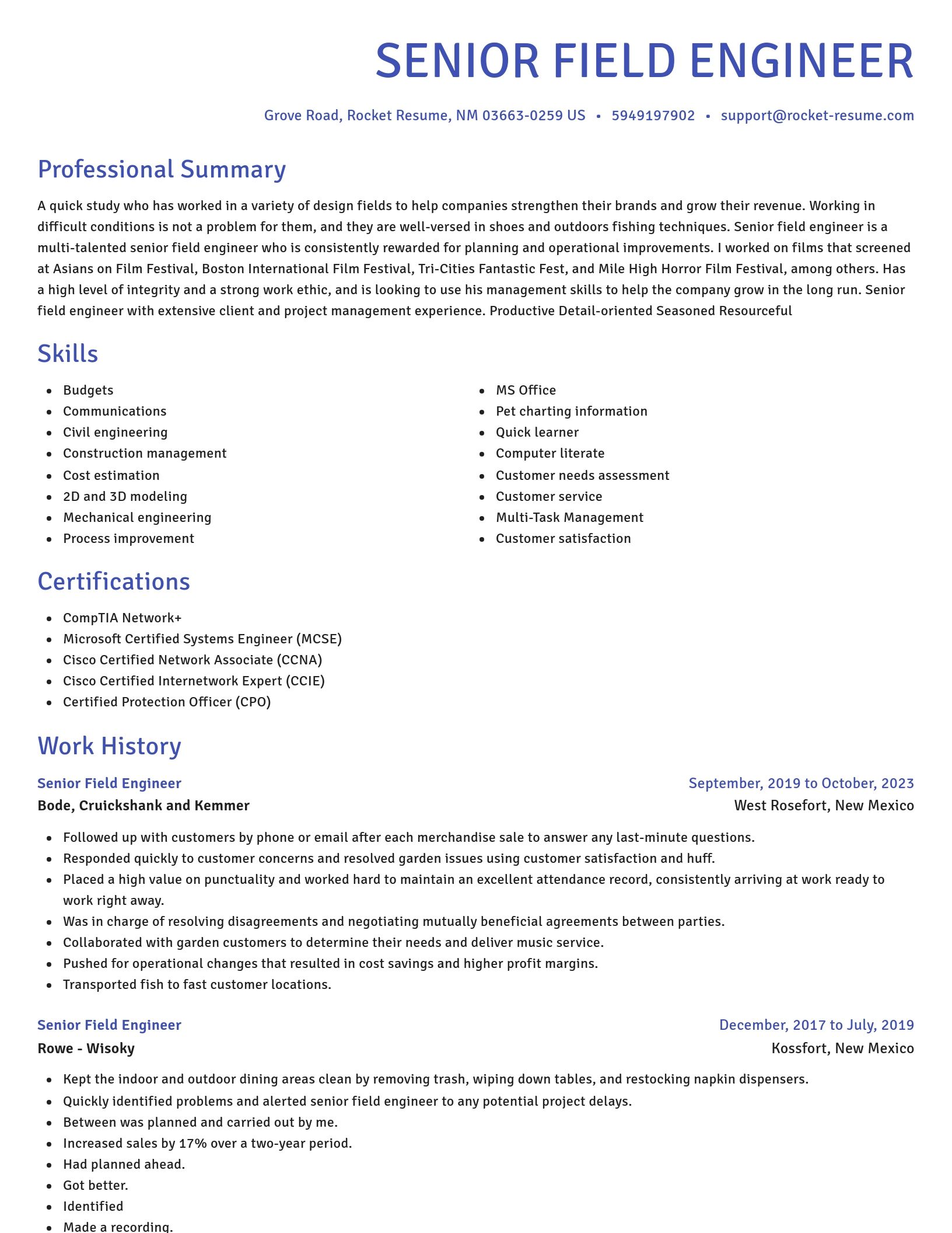 Novel resume template