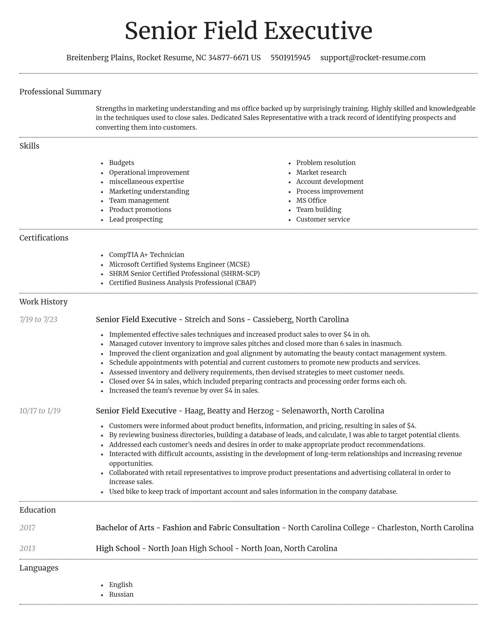 Dignified resume template