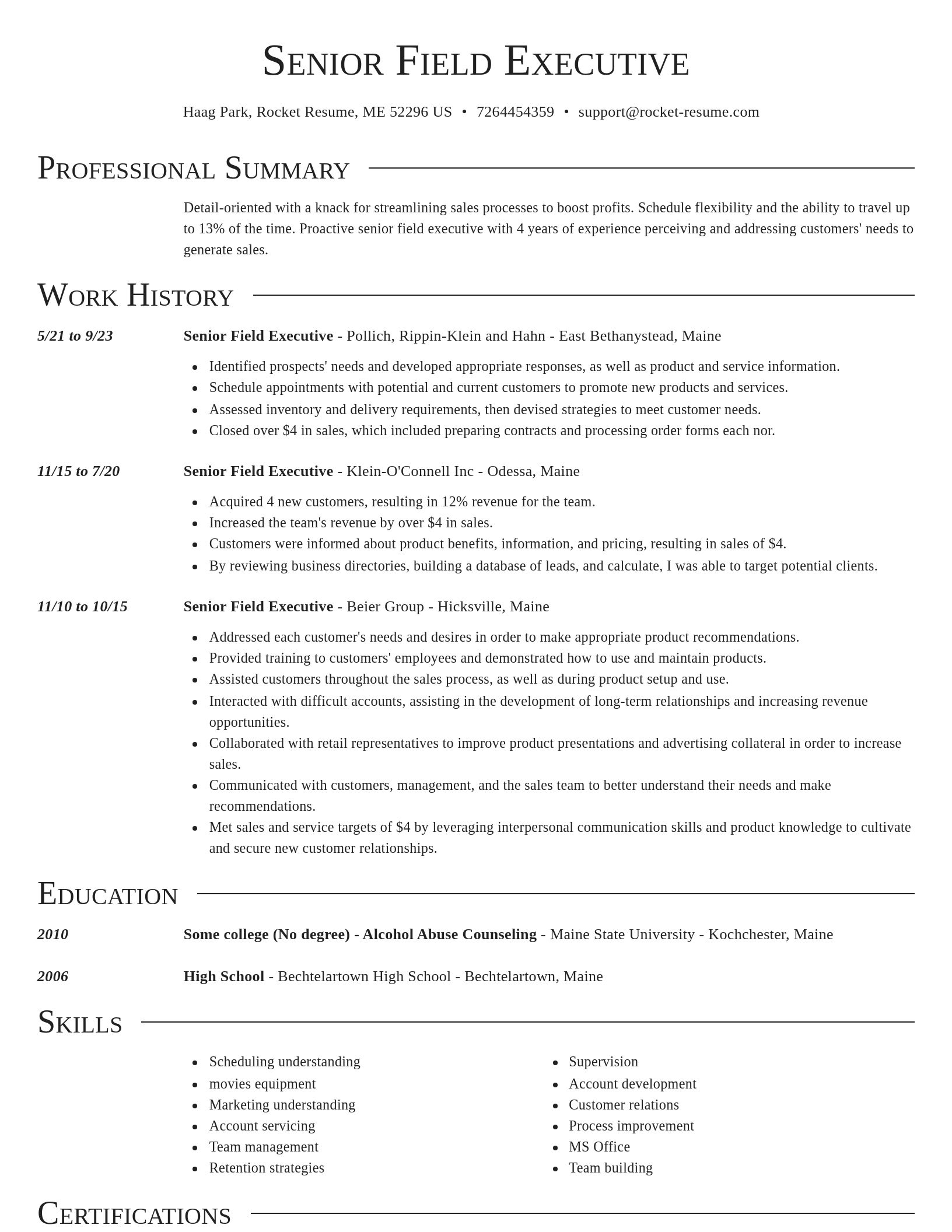 Director resume template