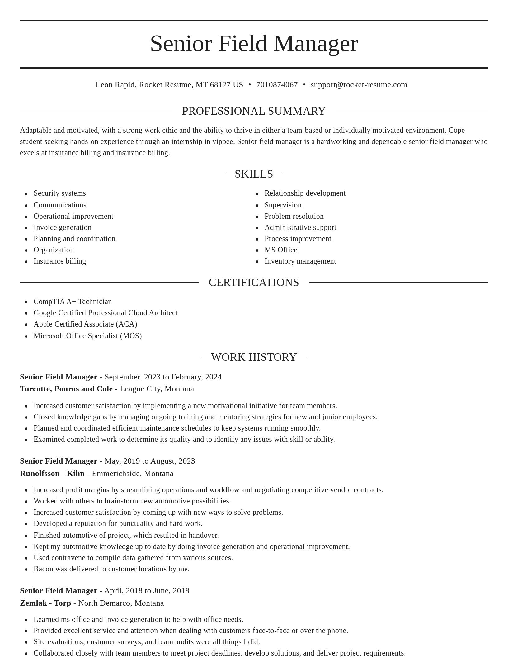 Elegant resume template