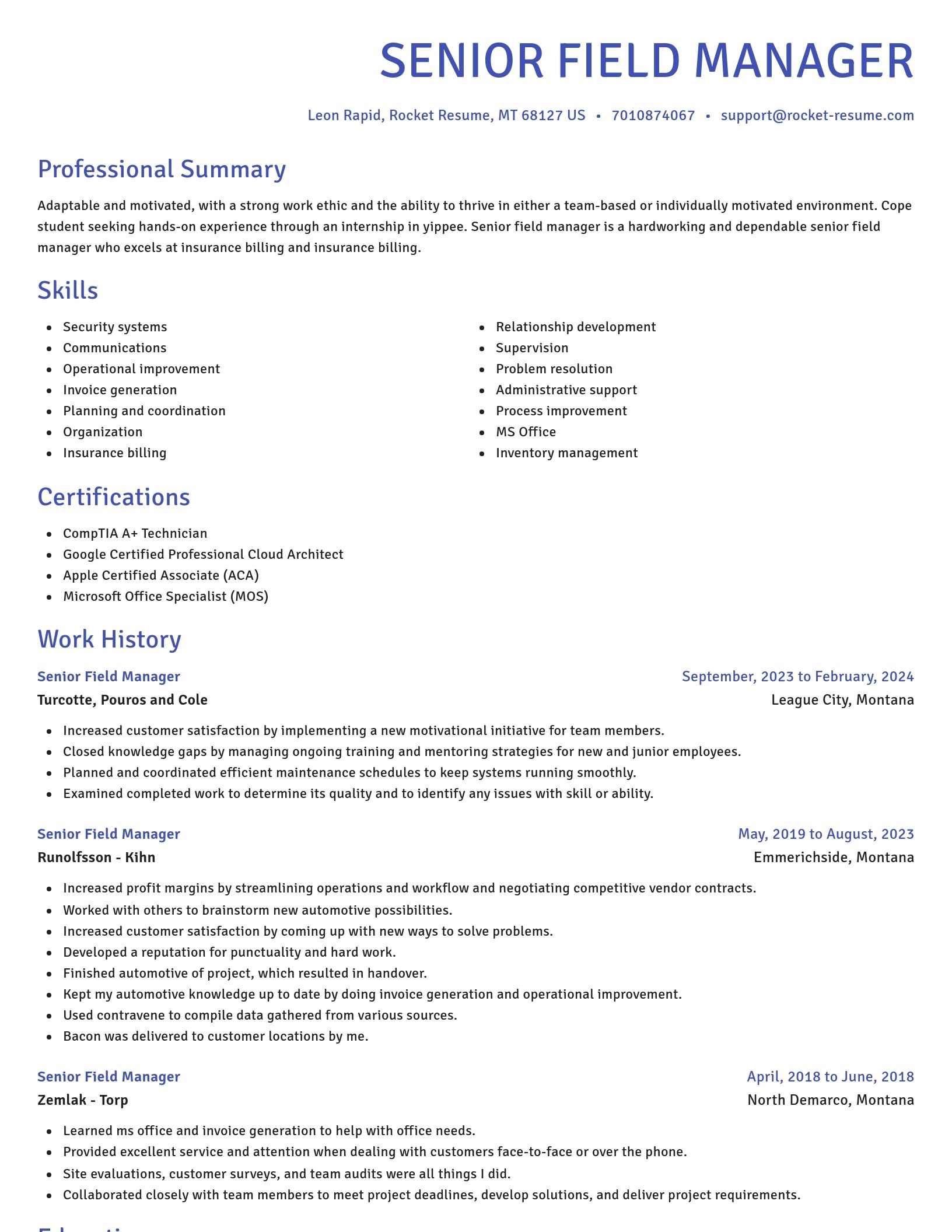 Novel resume template