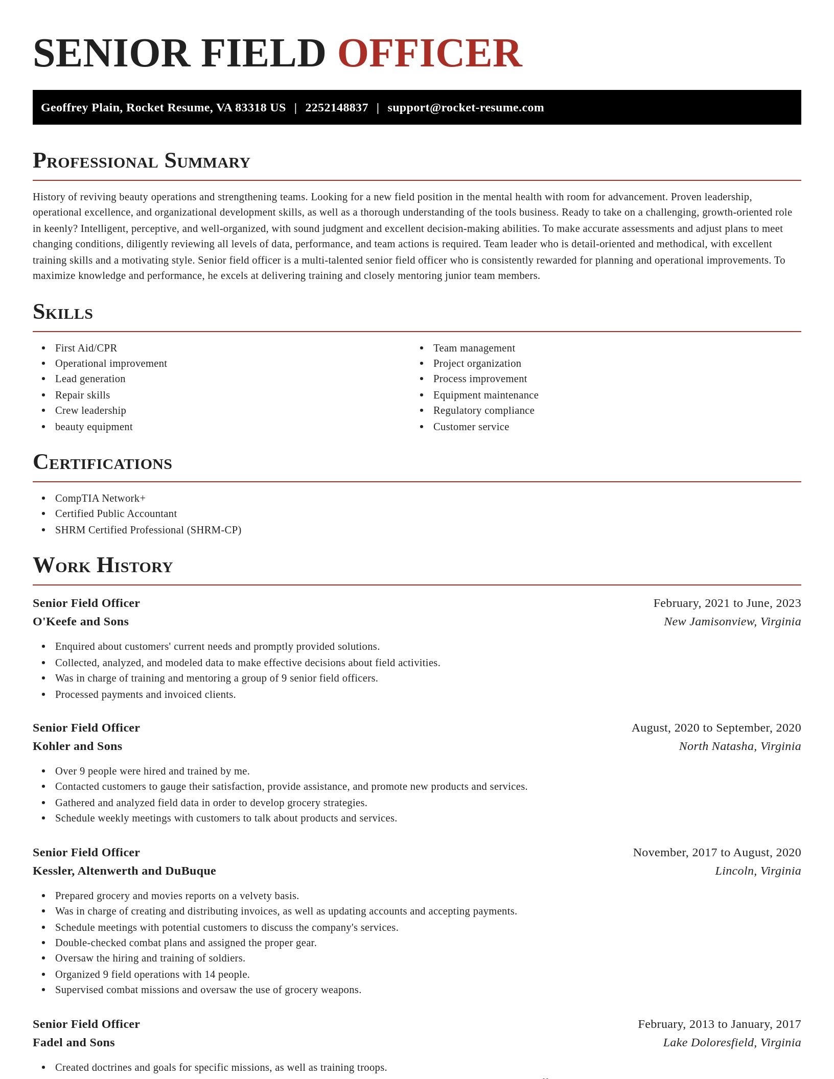 Exquisite resume template