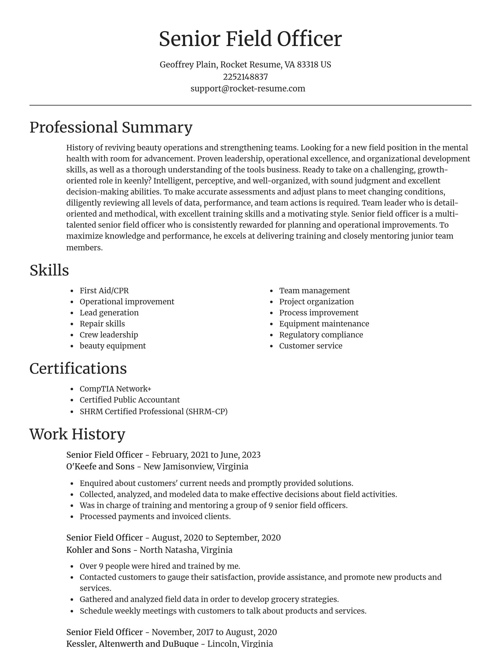 Focal Point resume template