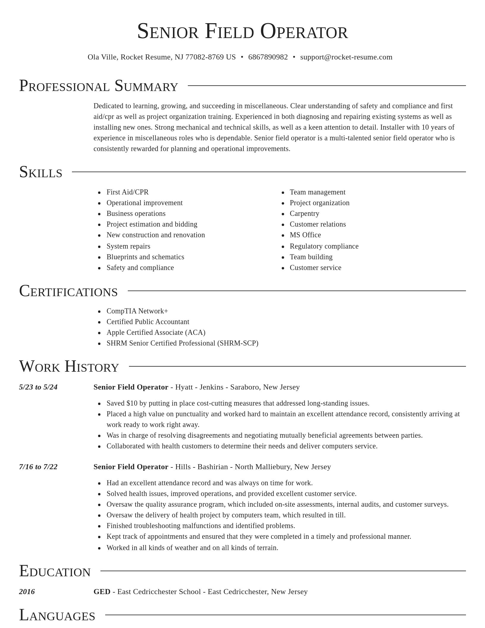 Director resume template