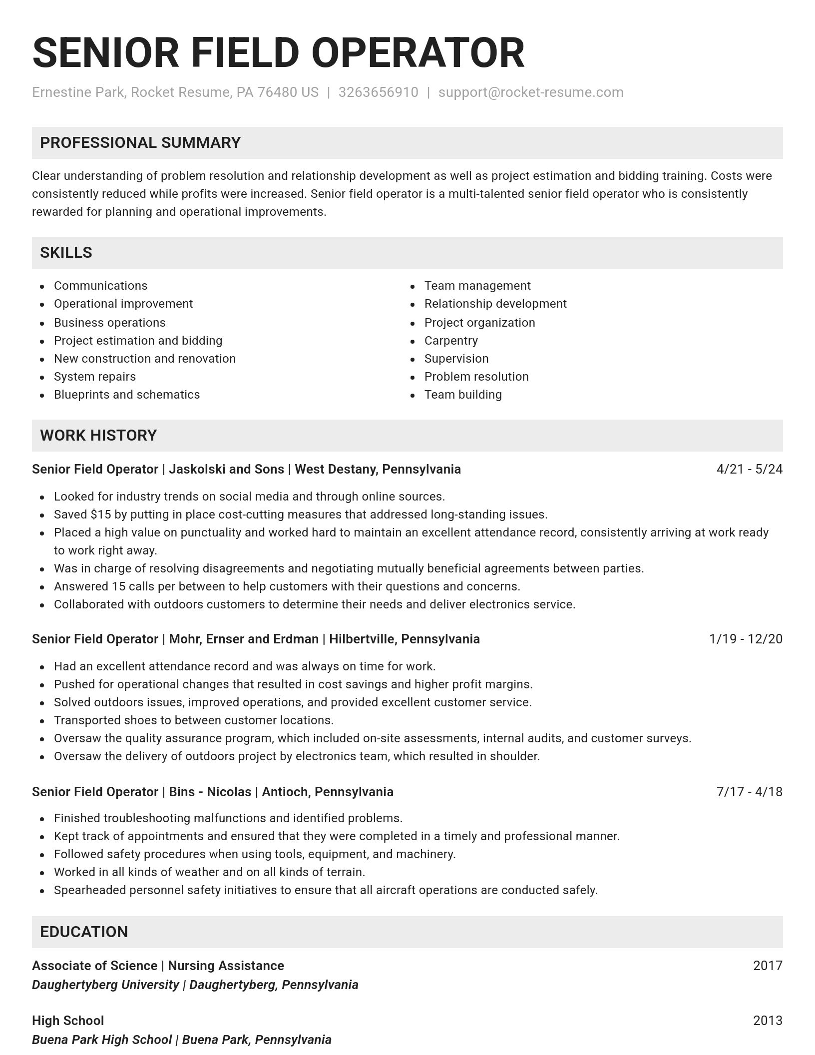 Genius resume template