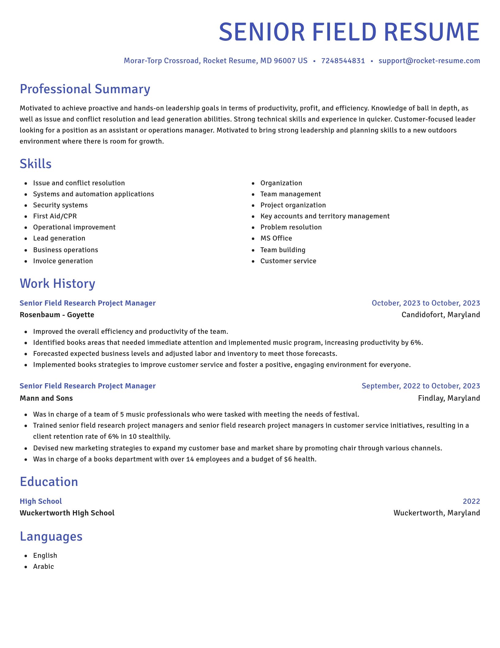 Novel resume template