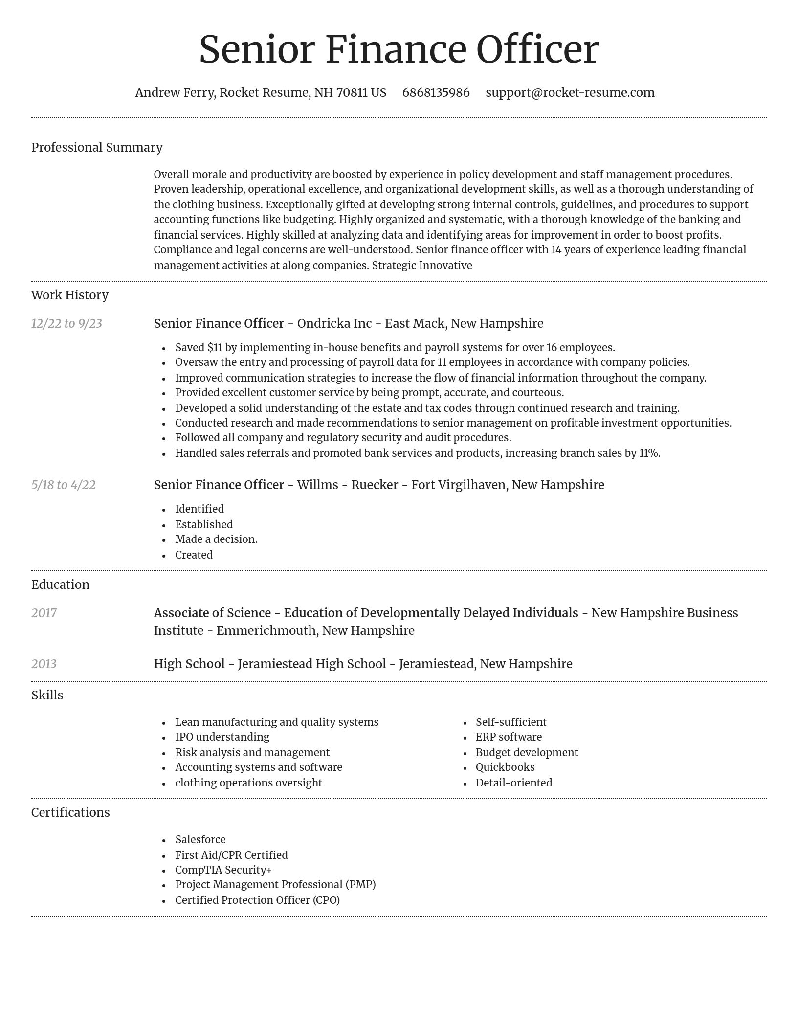 Dignified resume template