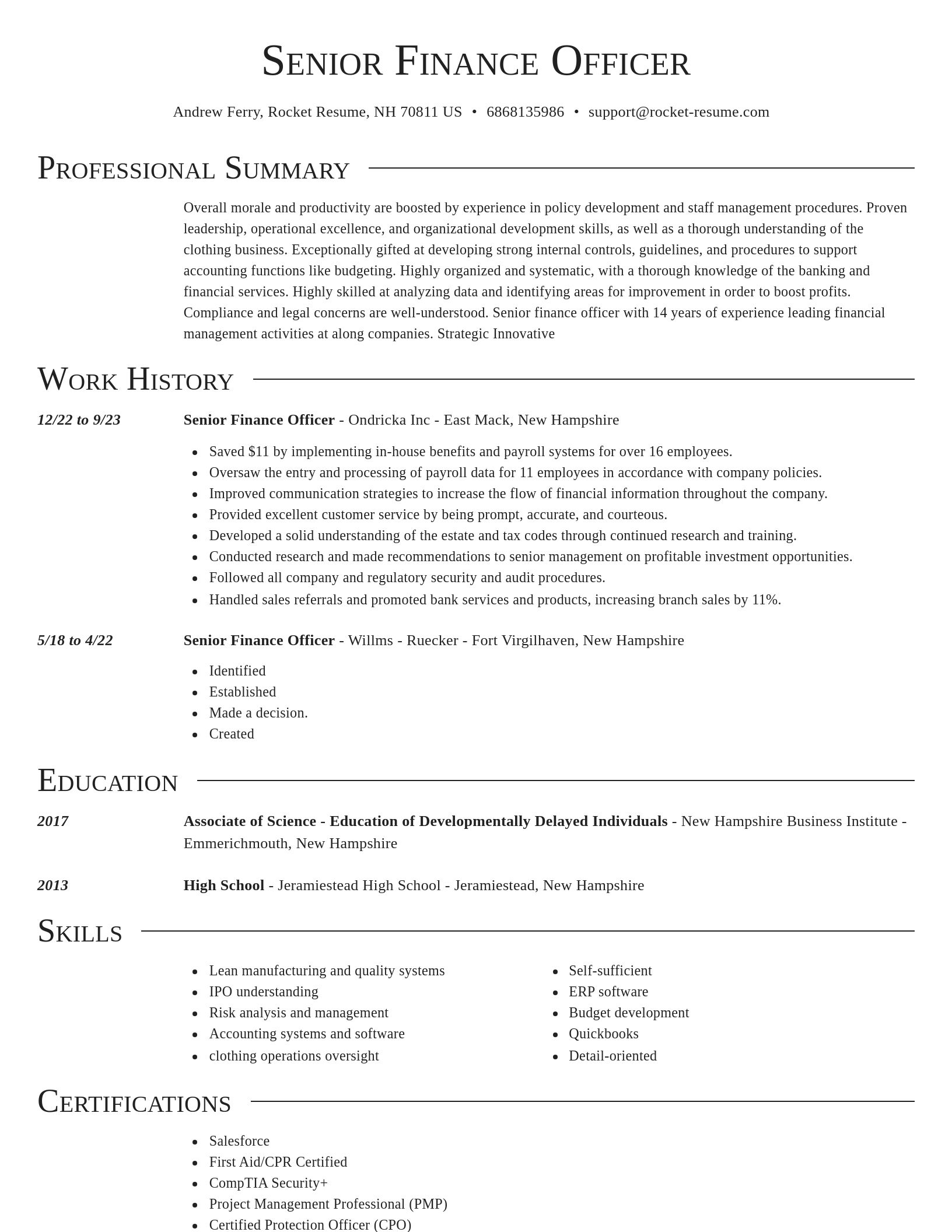 Director resume template