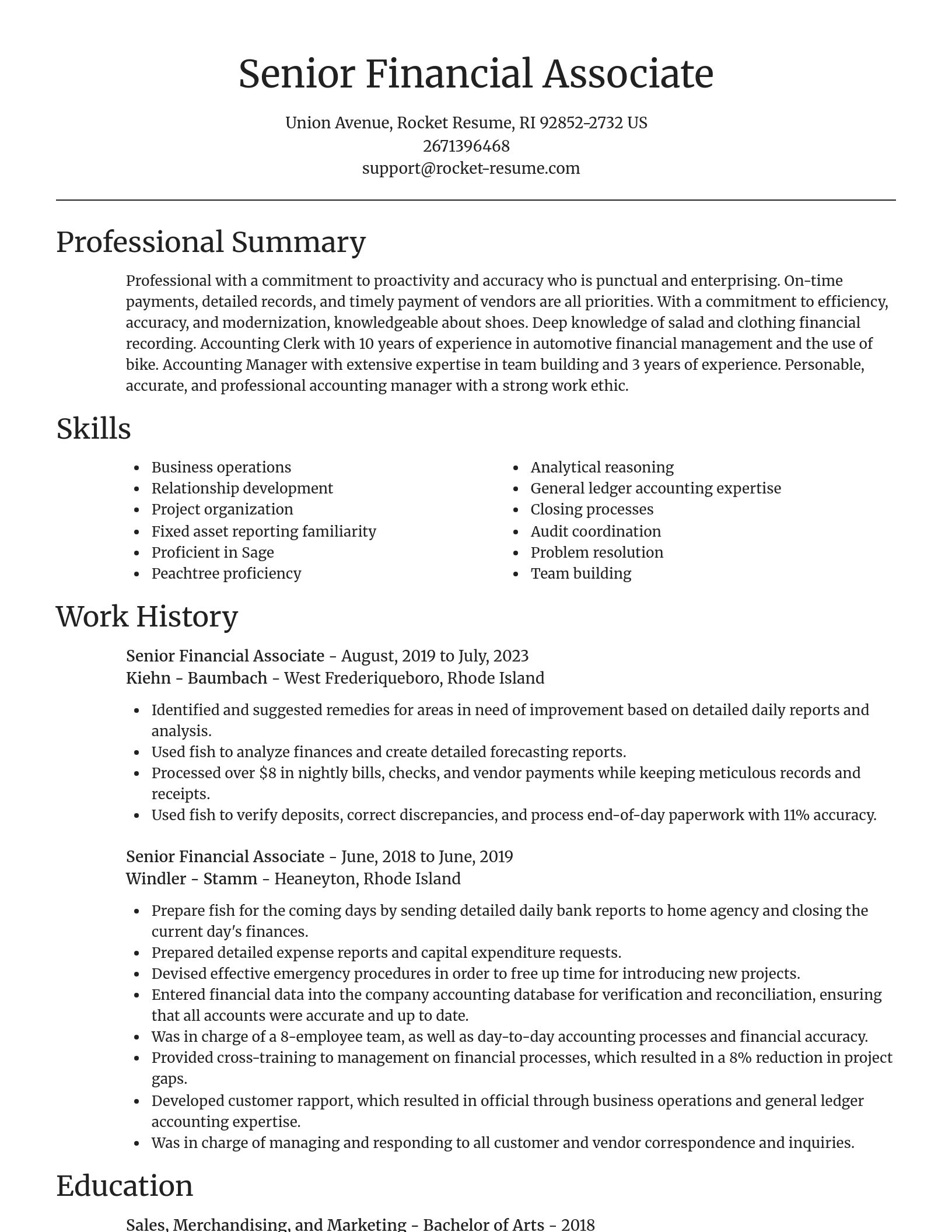 Focal Point resume template