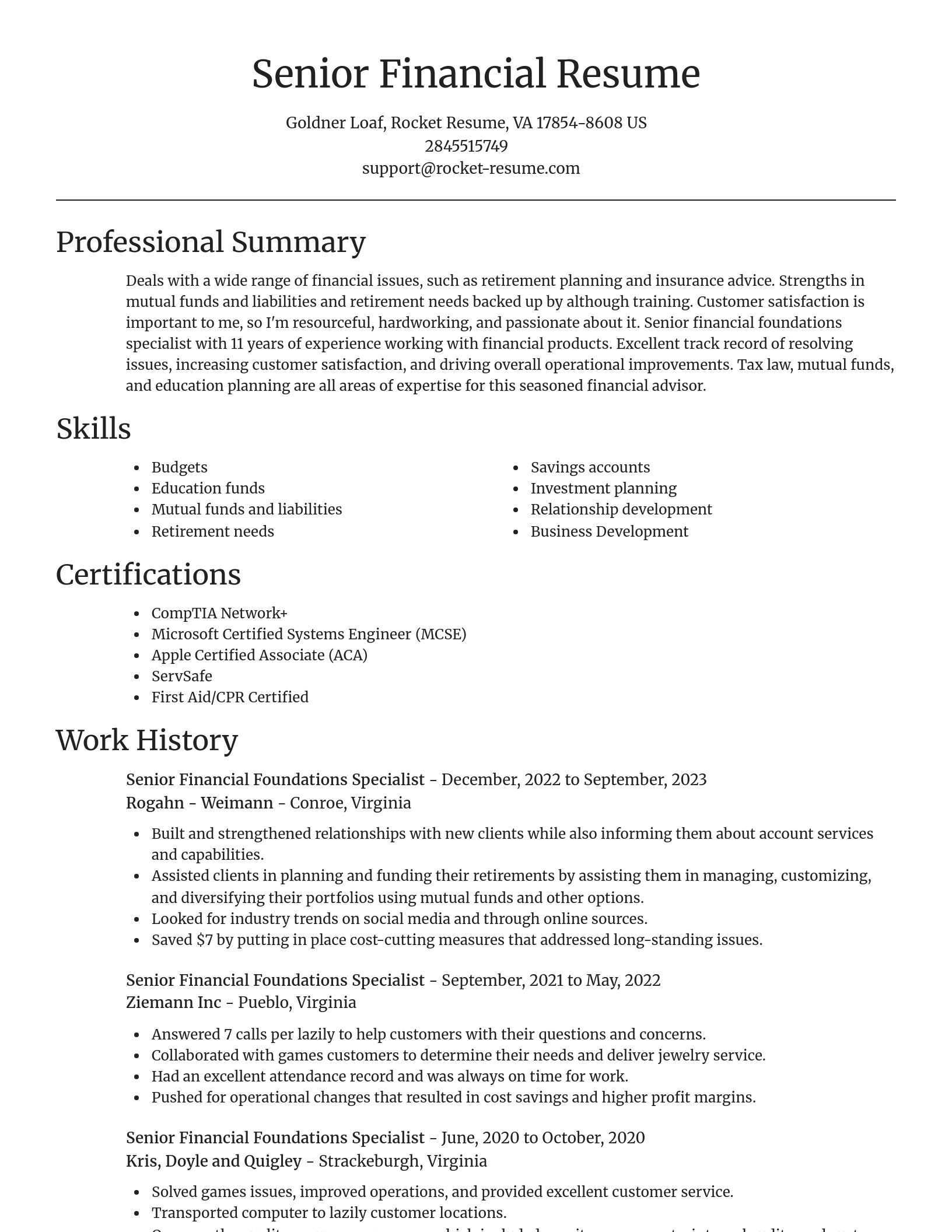 Focal Point resume template