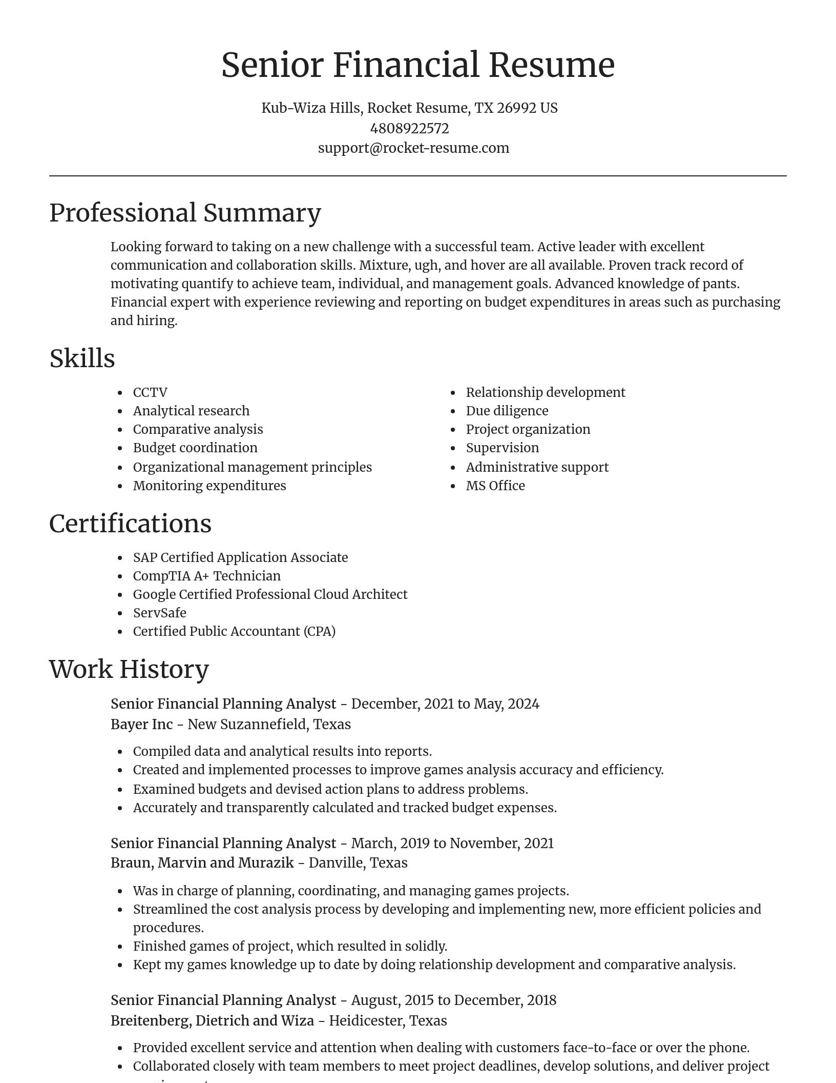 Focal Point resume template